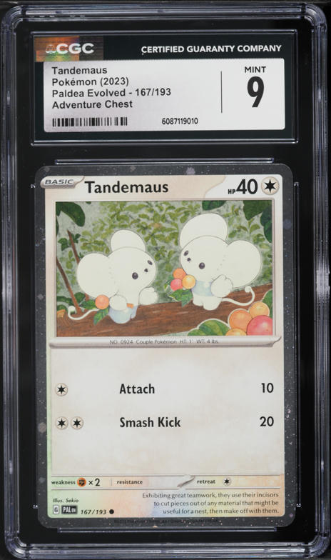 2023 Pokemon Scarlet & Violet Paldea Evolved Adventure Chest Tandemaus #167 CGC 9 MINT