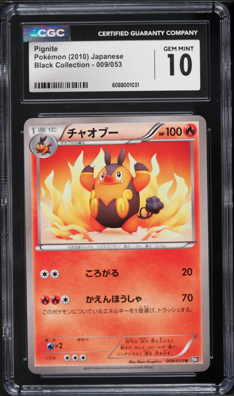 pokemon evo booster box Pokemon Booster Pack Bundle (1995-2026)