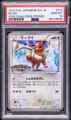 2013 Pokemon Japanese Black & White Gym Challenge Promo Eevee #213