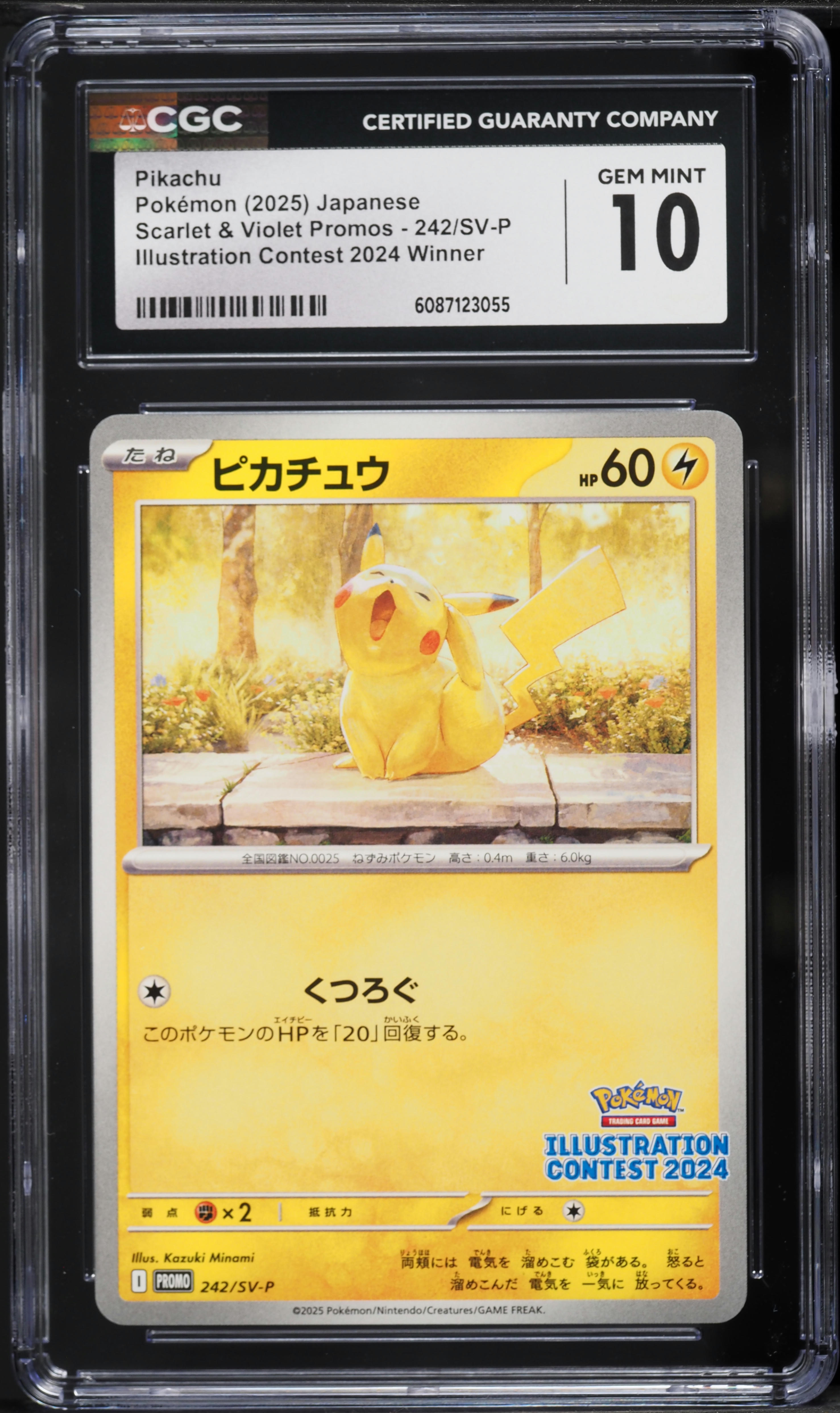2025 Pokemon Japanese SV Promo Illustration Contest Winner Pikachu