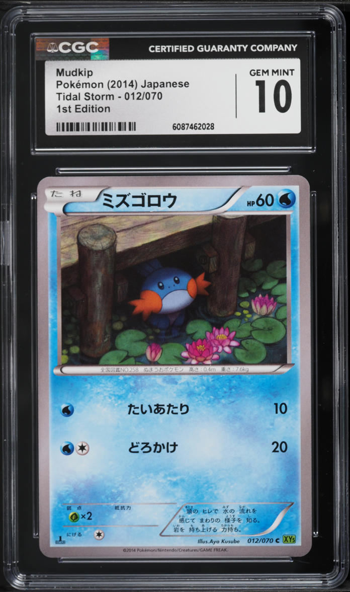 2014 Pokemon Japanese XY Tidal Storm 1st Edition Mudkip #12 CGC 10 GEM MINT