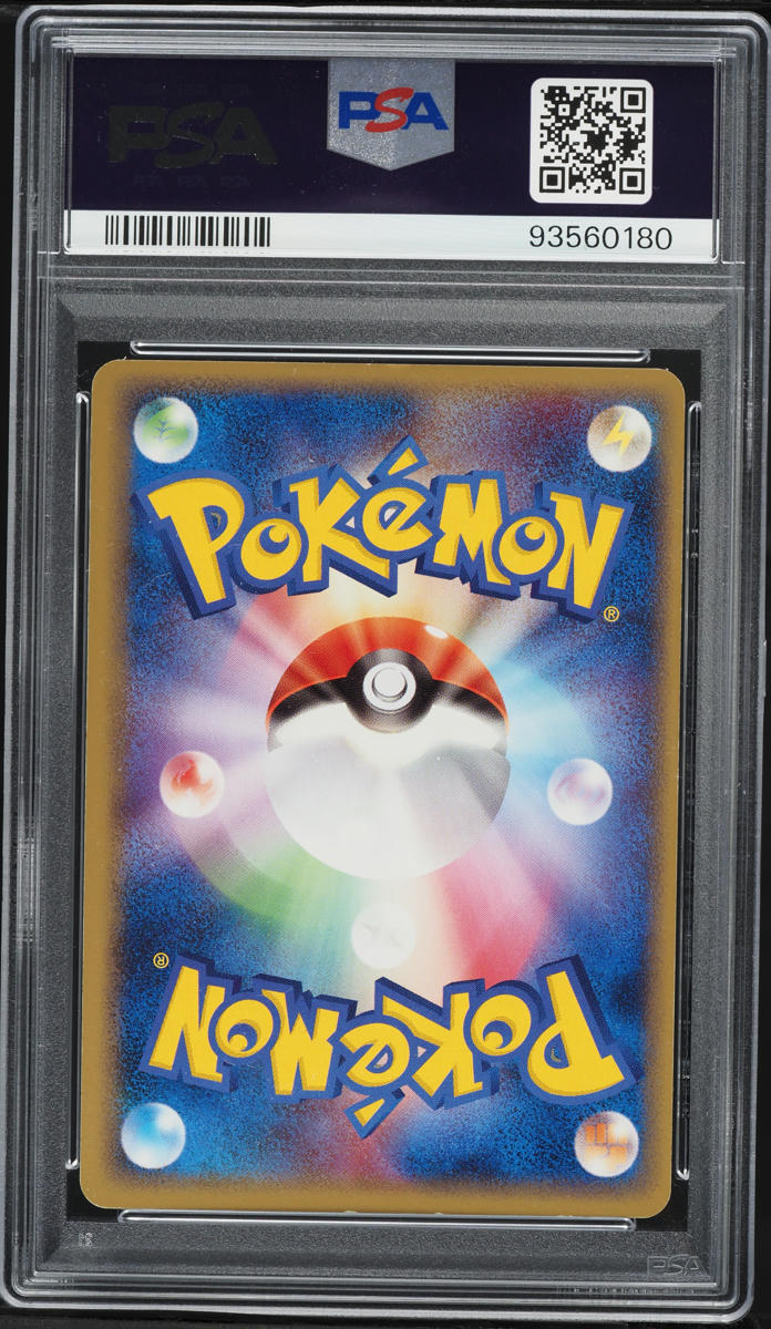 pokemon card file Shop Japanese Pokémon Lillie & N Collection File Set Combo – TCGHOBBY