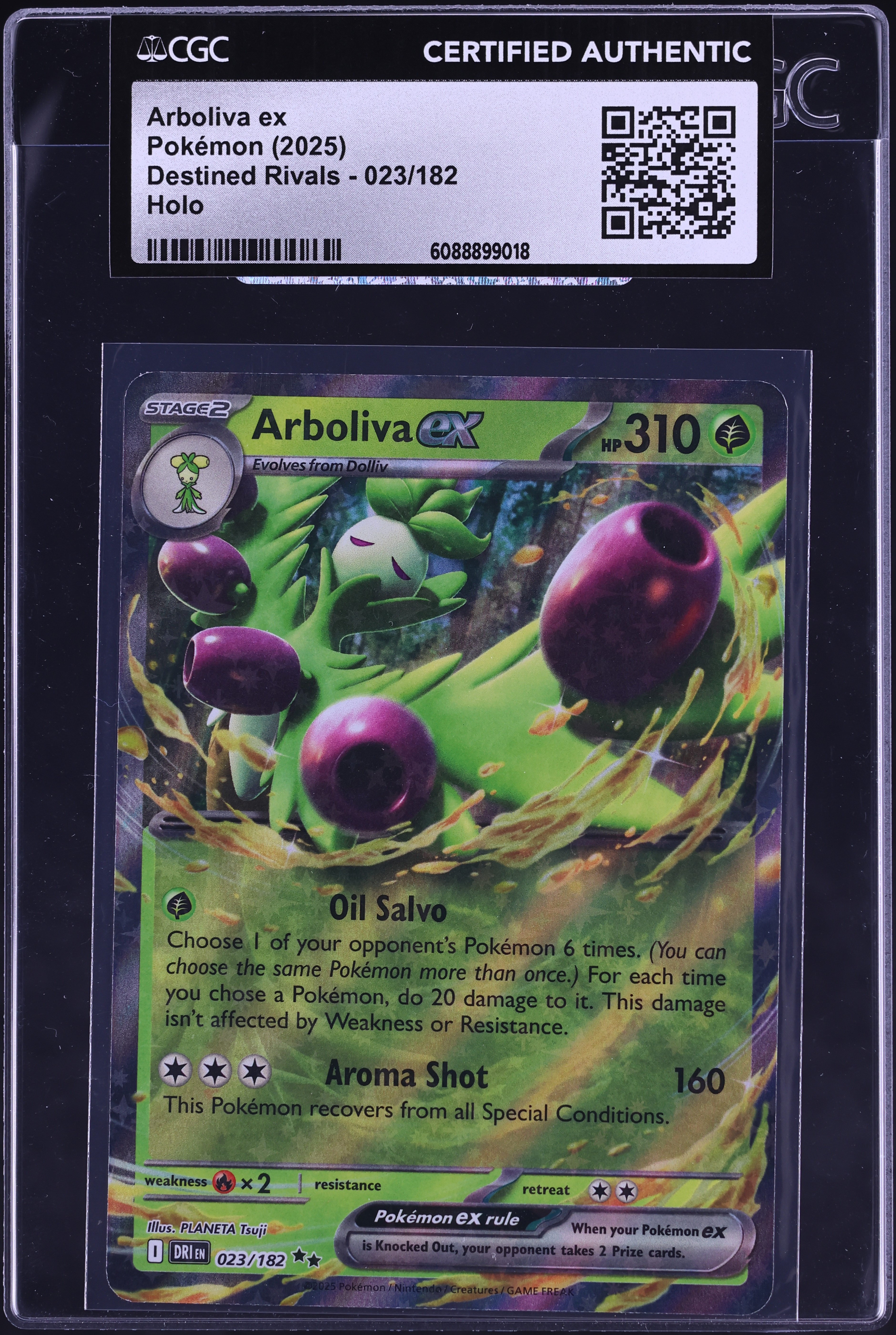 2025 Pokemon Scarlet & Violet Destined Rivals Holo Arboliva ex #23 CGC AUTH  on Fanatics Collect