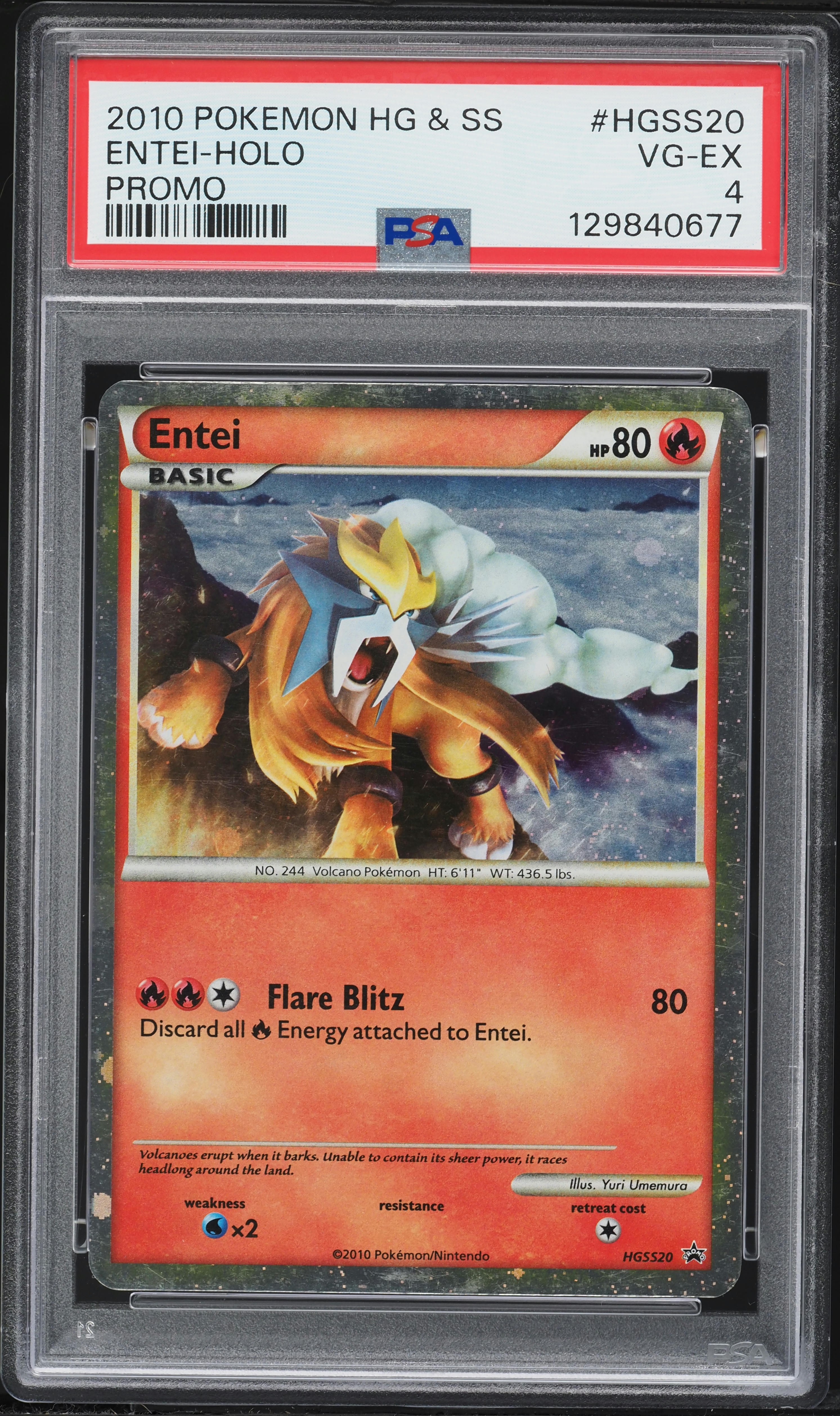 entei holographic pokemon card LP】Raikou No. 243 Entei No. 244 Suicune No. 245 main image 1