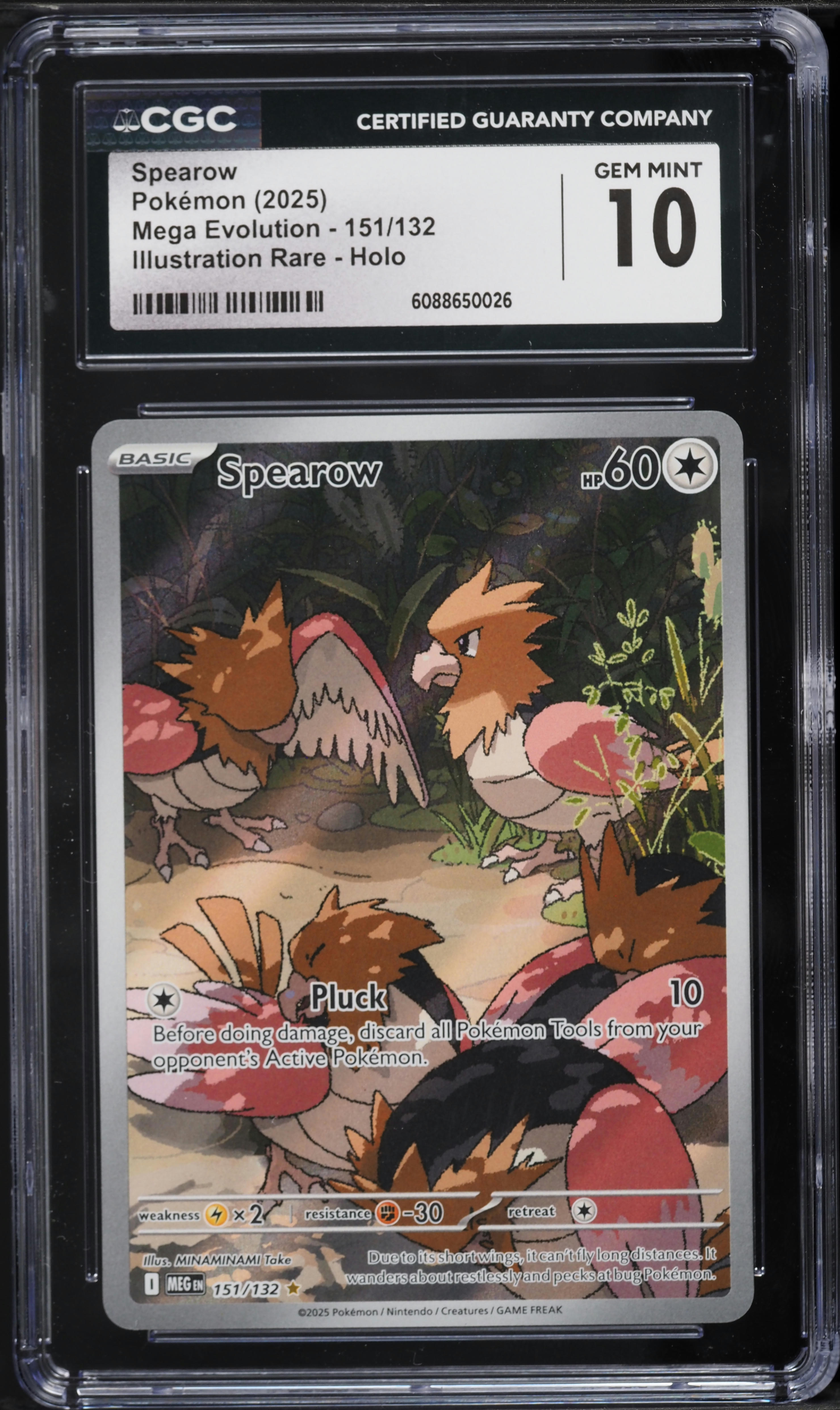 pokemon fossil card set Fossil Unlimited – Loose Packs Trading Co
