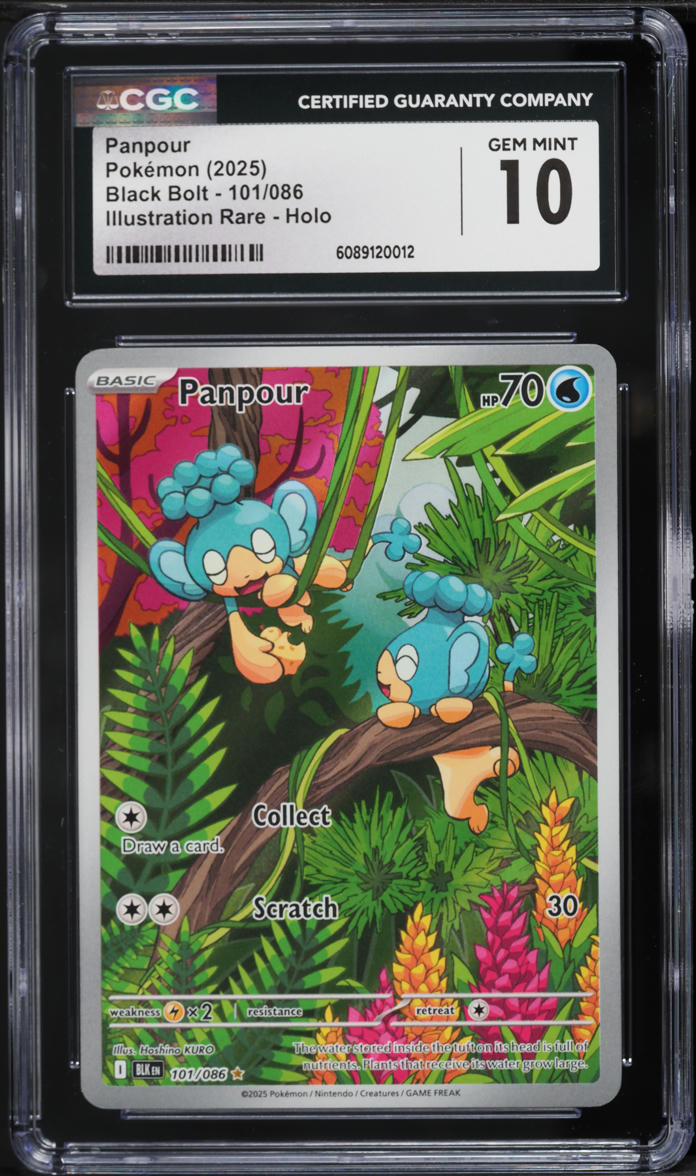 2025 Pokemon Scarlet & Violet Black Bolt IR Panpour #101 CGC 10 GEM MINT