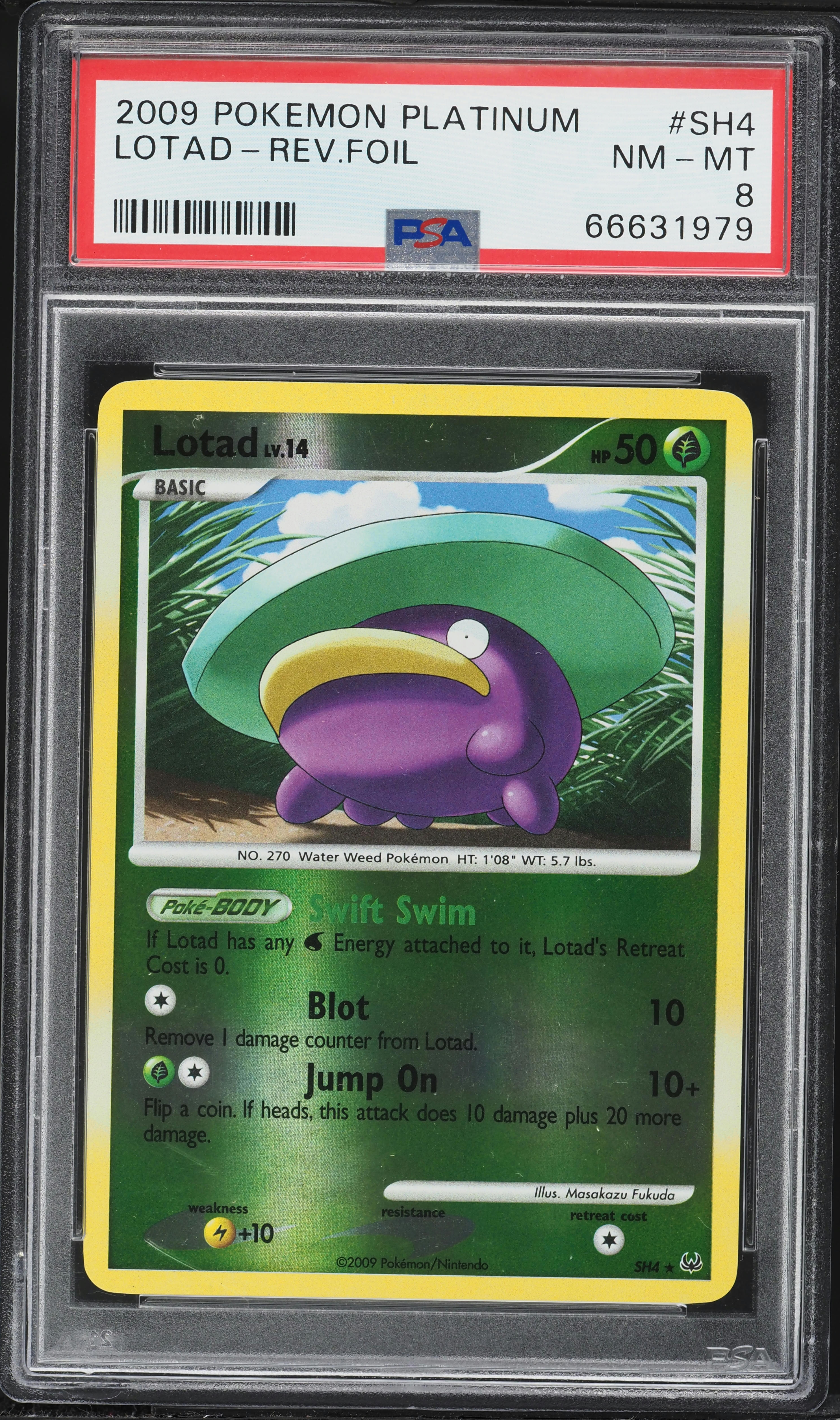 pokemon lotad card Lotad - 032/203 - Evolving Skies main image 1