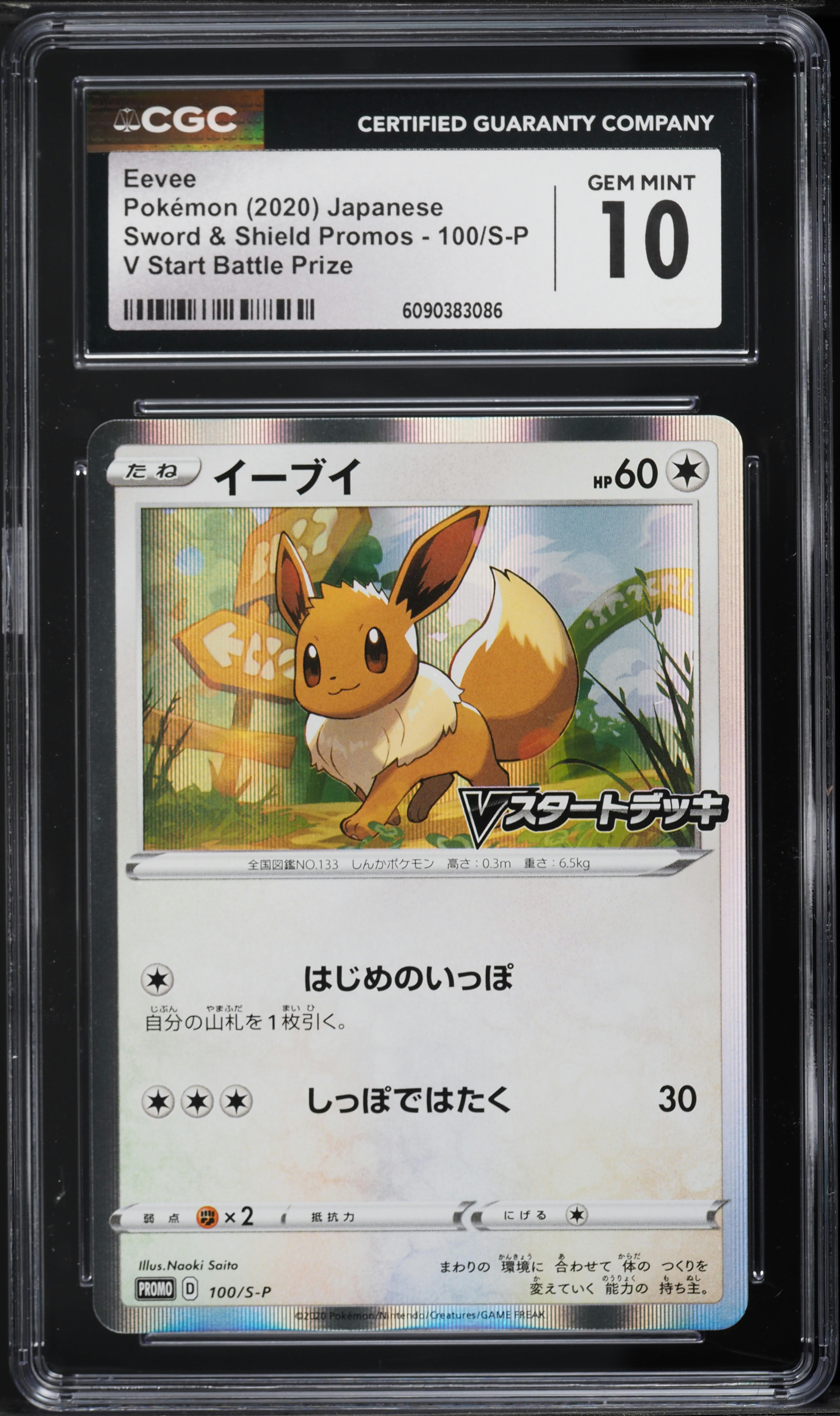 2020 Pokemon Japanese Sword & Shield Promo V Start Battle Prize