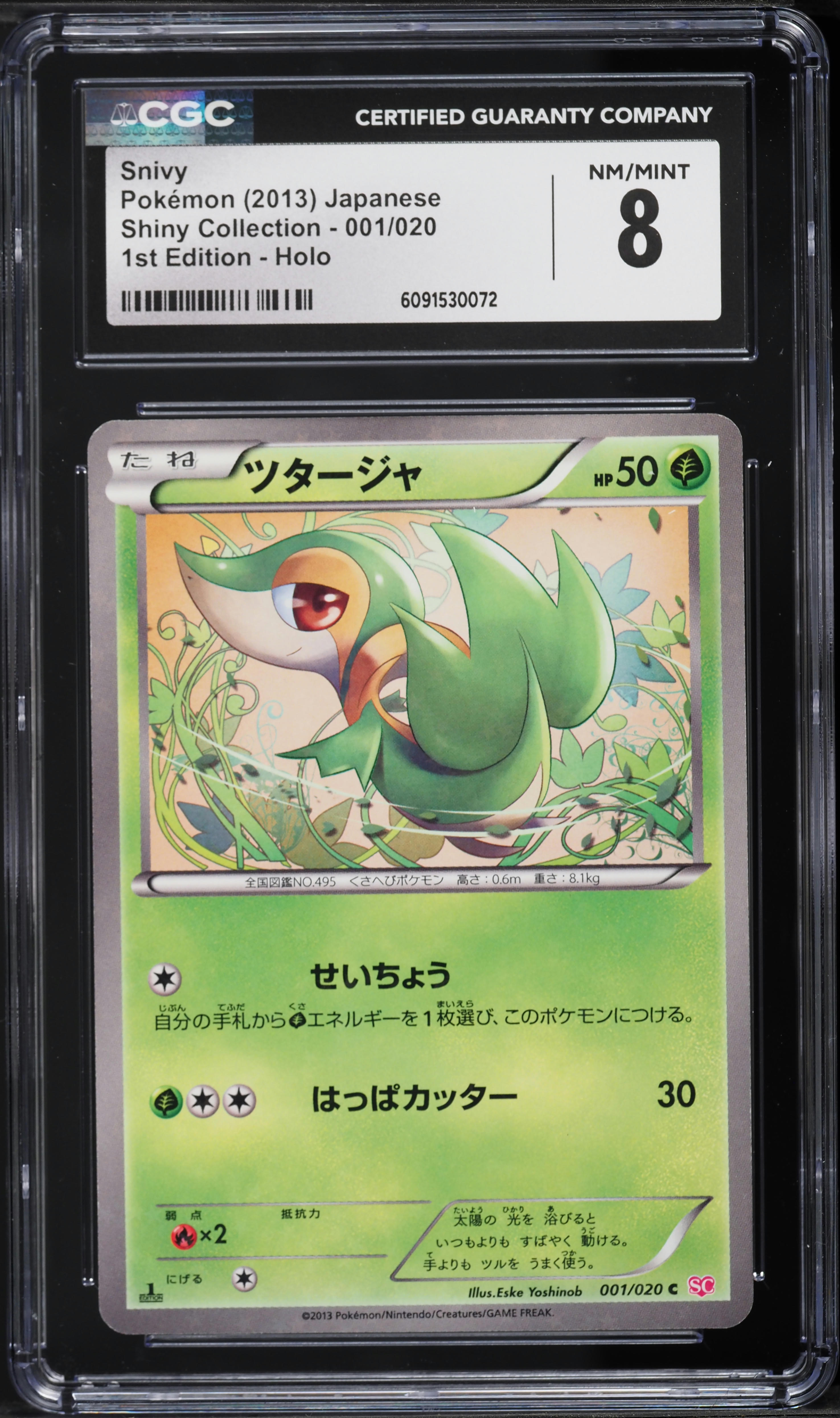 2013 Pokemon Japanese Black & White Shiny Collection 1st Edition