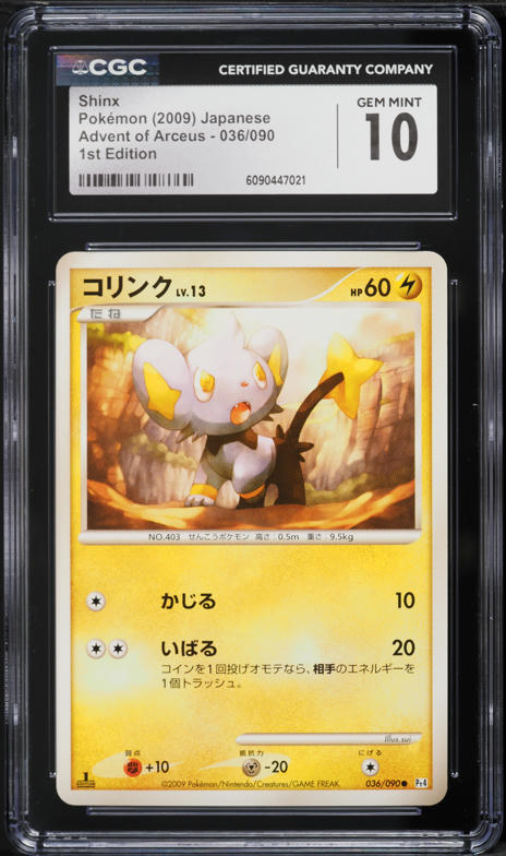 pokemon shinx card Basic Shinx HP 40 Big Roar Ram Attack Rarity Yellow Vibrant Pokmon