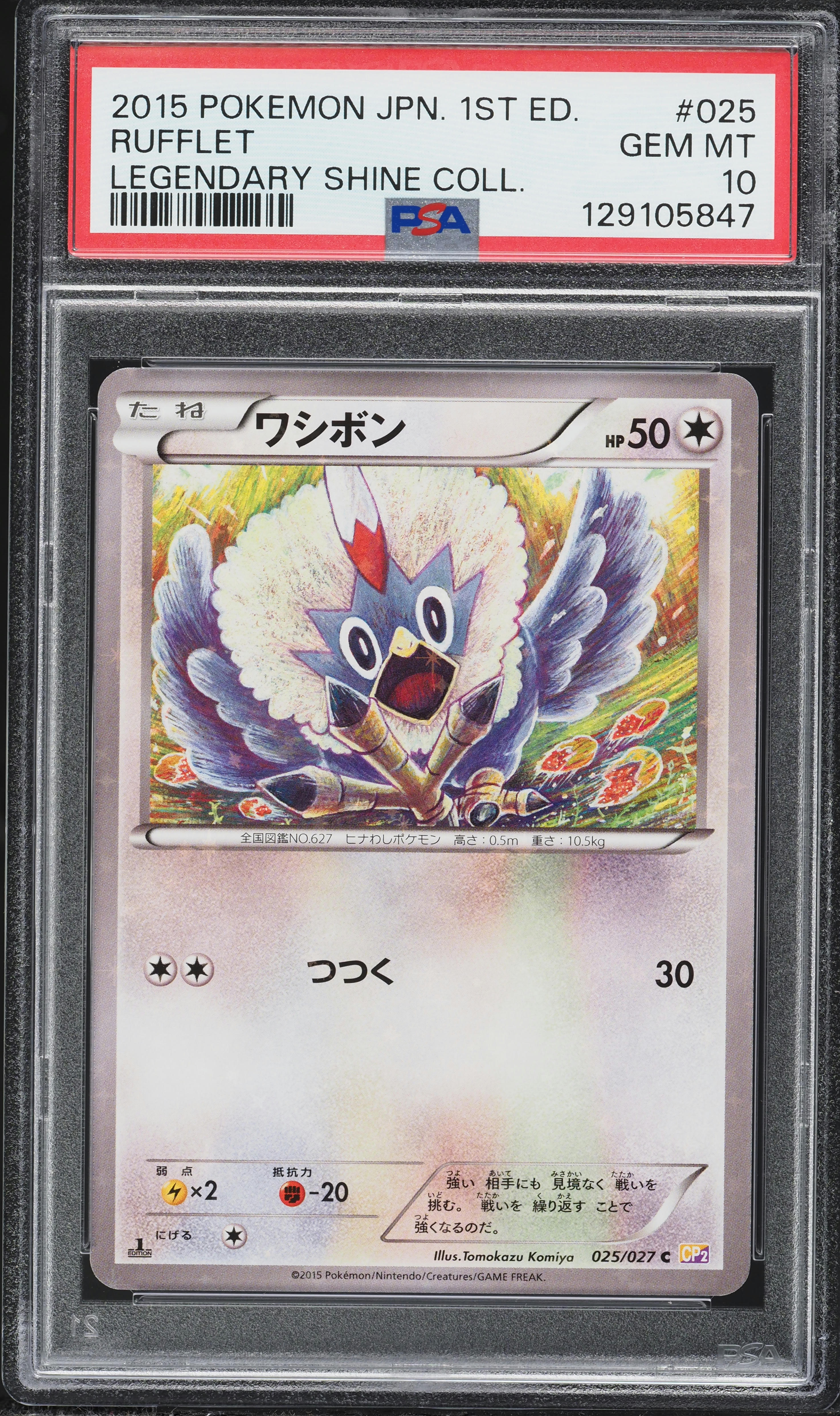 ワイルド　シャイ v1535099_2020102809180791R_75.jpg