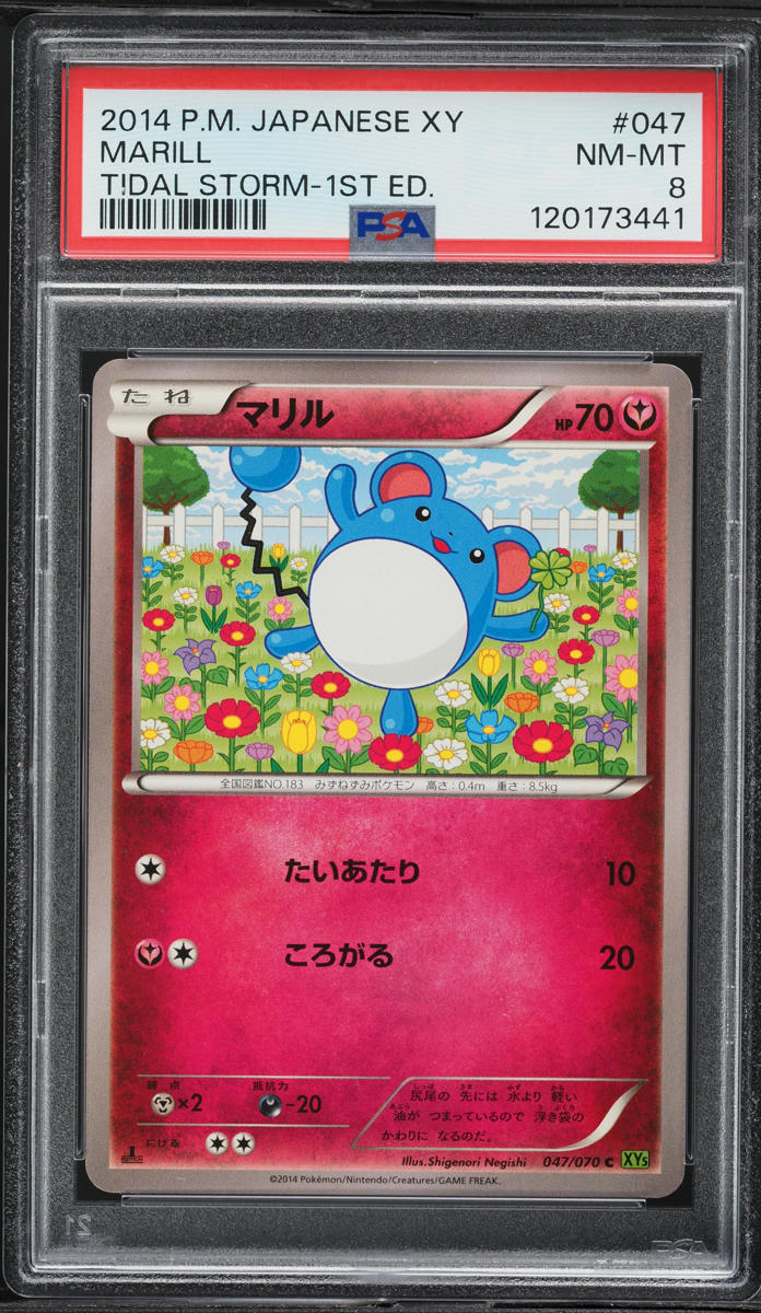 2014 Pokemon Japanese XY Tidal Storm 1st Edition Marill #047 PSA 8