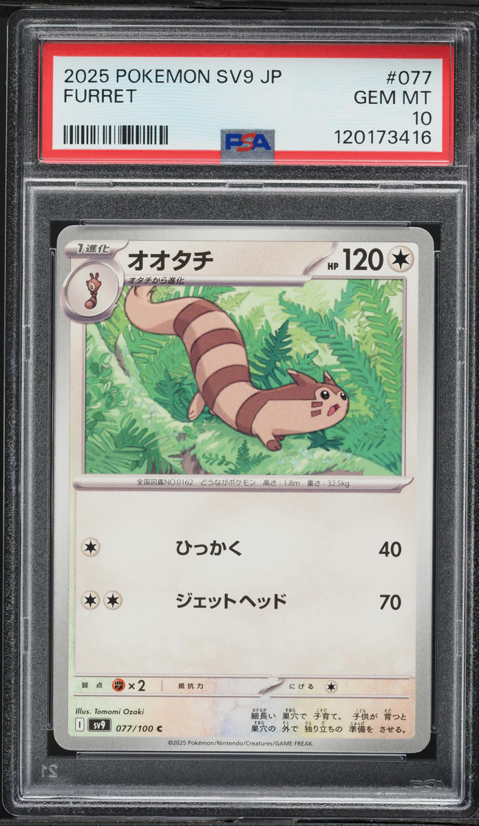 2025 Pokemon Japanese Sv9-Battle Partners Furret #077 PSA 10 GEM