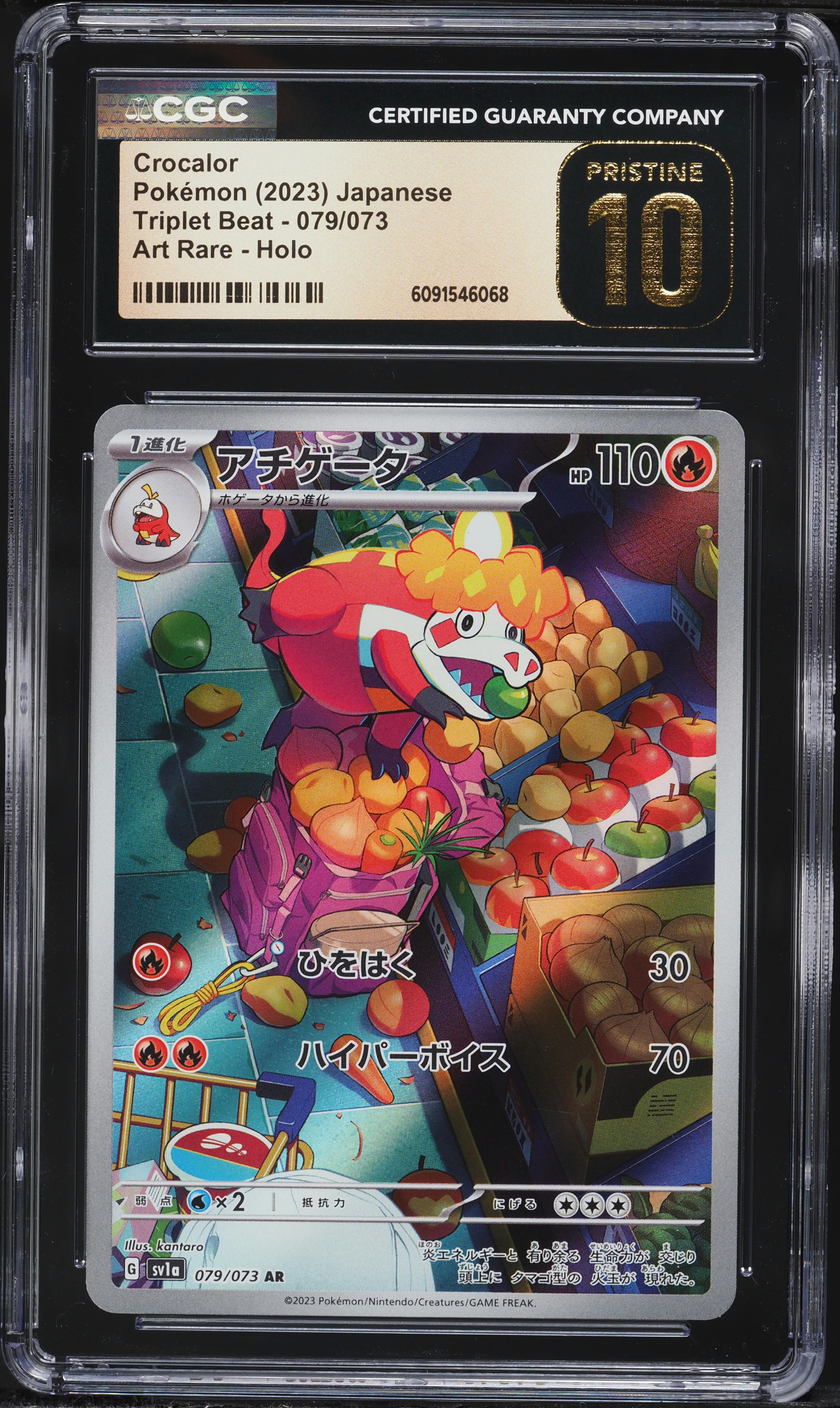 ポケモンカード AR23シリーズ 290種 コンプリート Complete