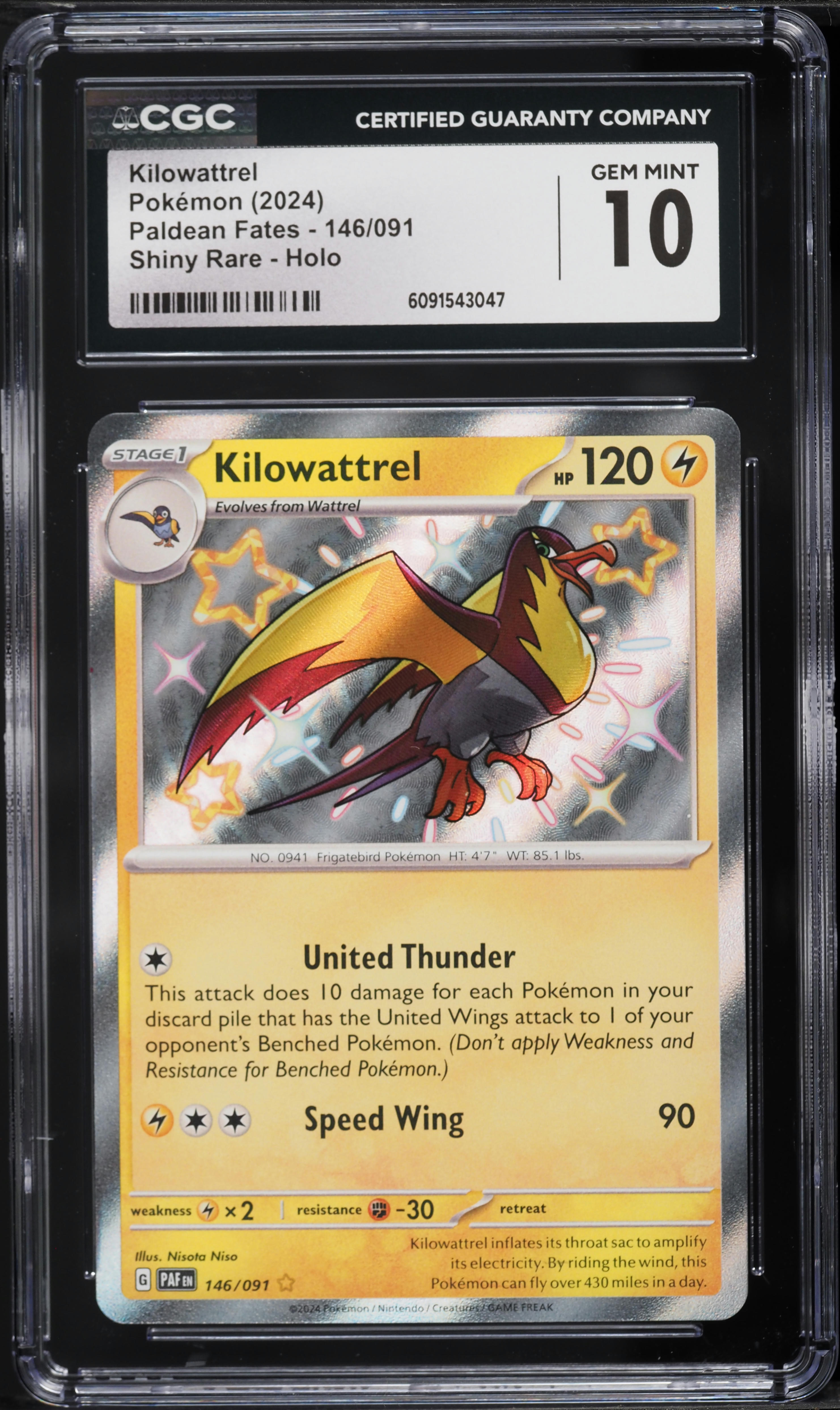 how to get pokemon cards for free 4 Ways to Collect Pokmon Cards