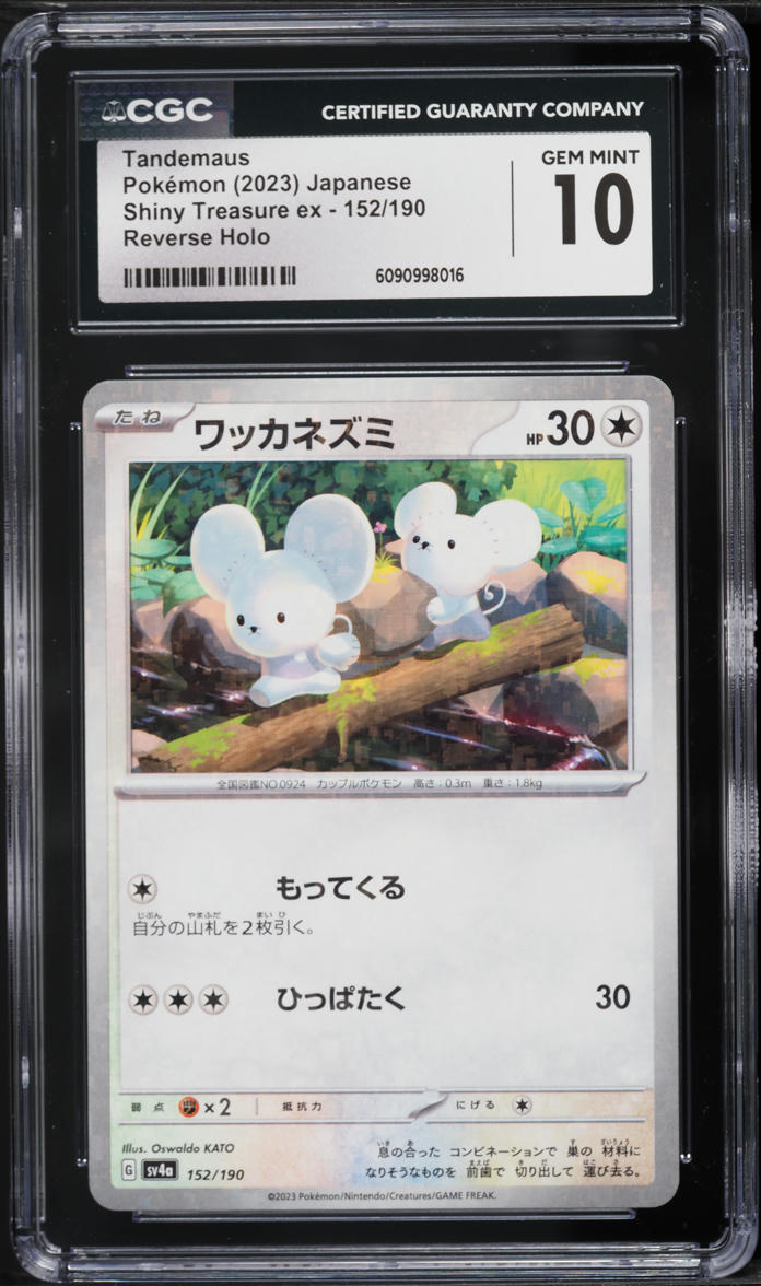 tandemaus pokemon card price 167/193 Tandemaus (Reverse holo) - Paldea Evolved main image 1