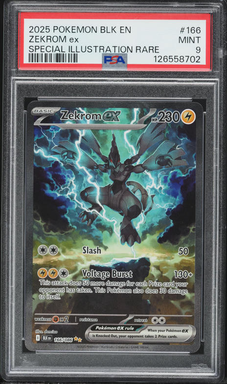 2025 Pokemon Scarlet & Violet Black Bolt Special Illustration Rare