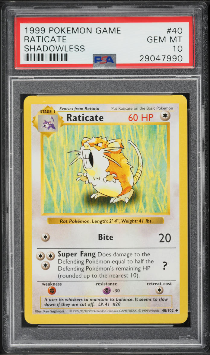 1999 Pokemon Base Set Shadowless Raticate #40 PSA 10 GEM MINT