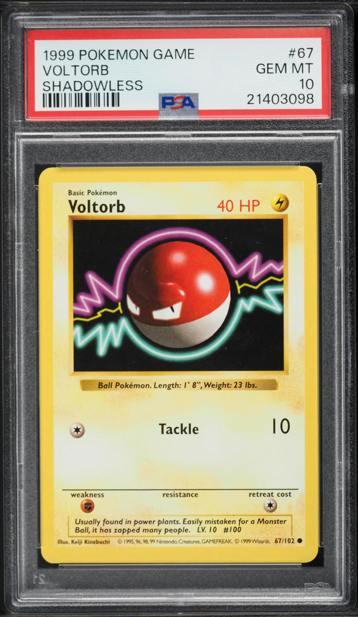 1999 Pokemon Base Set Shadowless Voltorb #67 PSA 10 GEM MINT