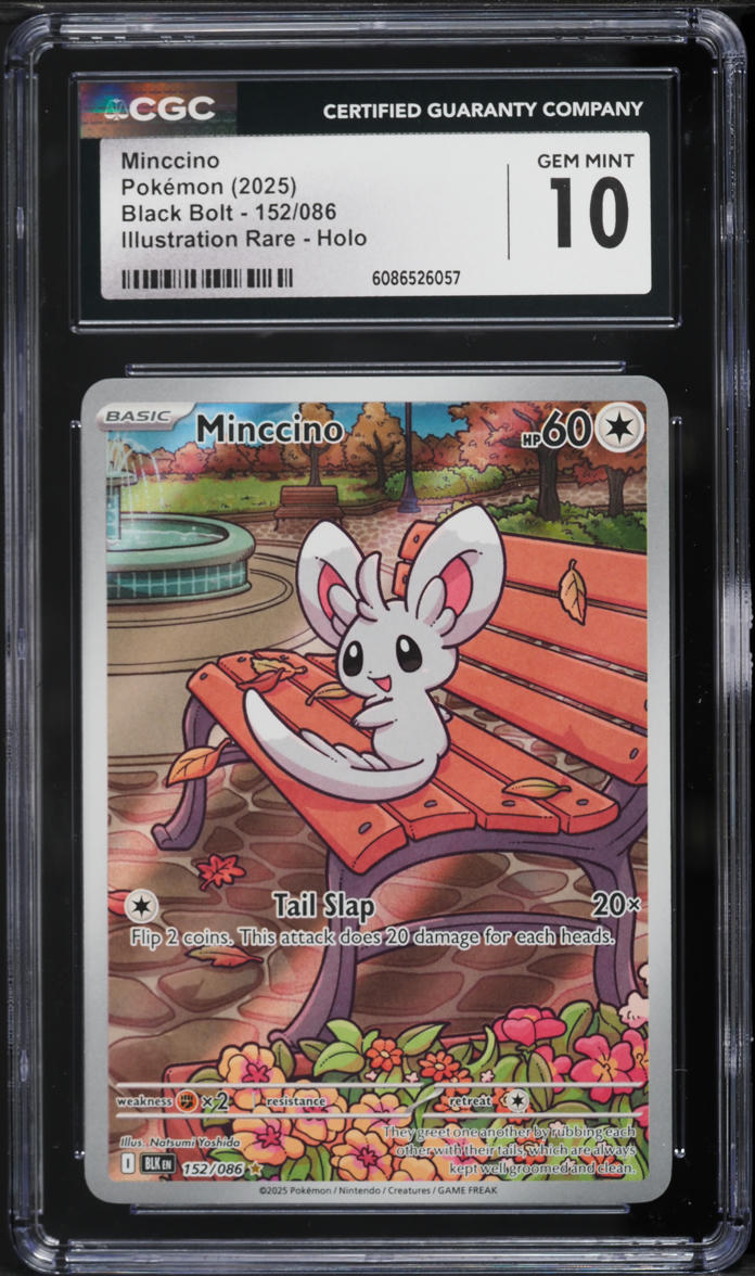 minccino pokemon card price Minccino RC18/RC25 Legendary Treasures Common Holo Pokemon Card NM main image 1