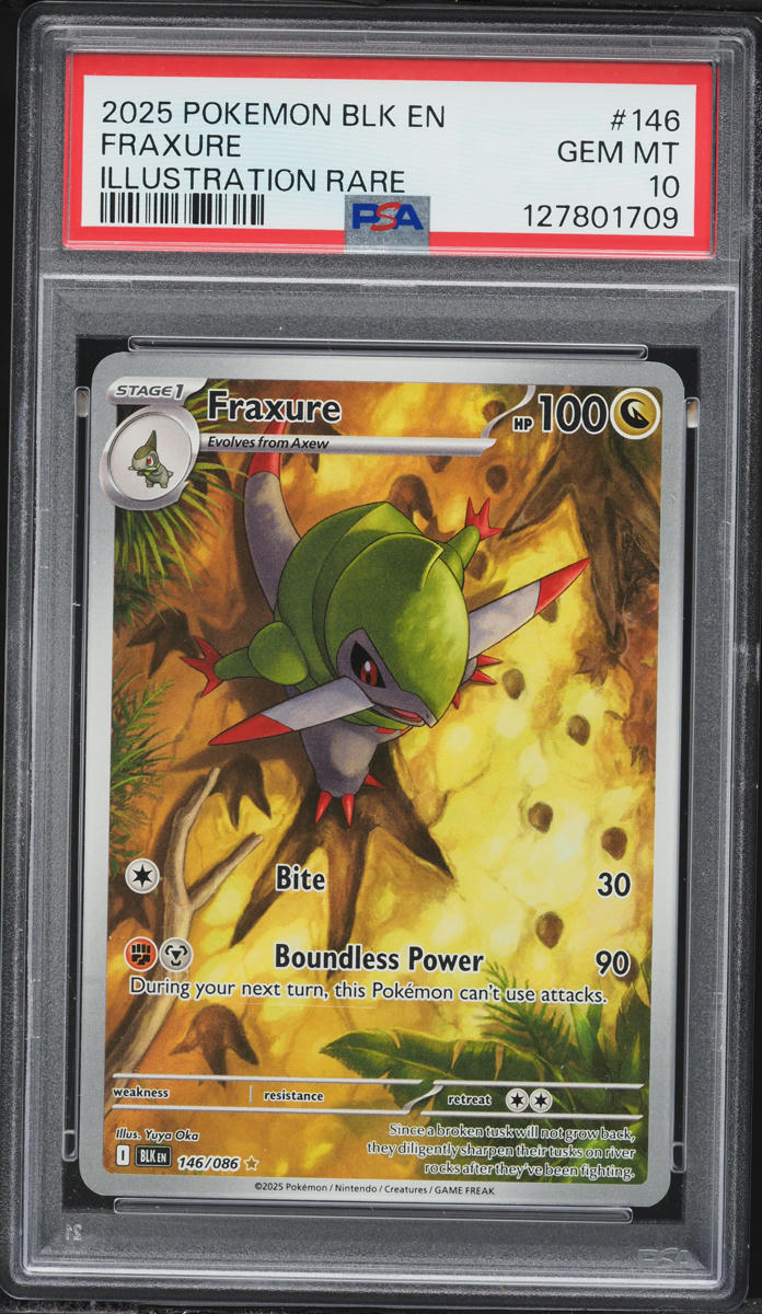 2025 Pokemon Scarlet & Violet Black Bolt IR Fraxure #146 PSA 10 GEM MINT