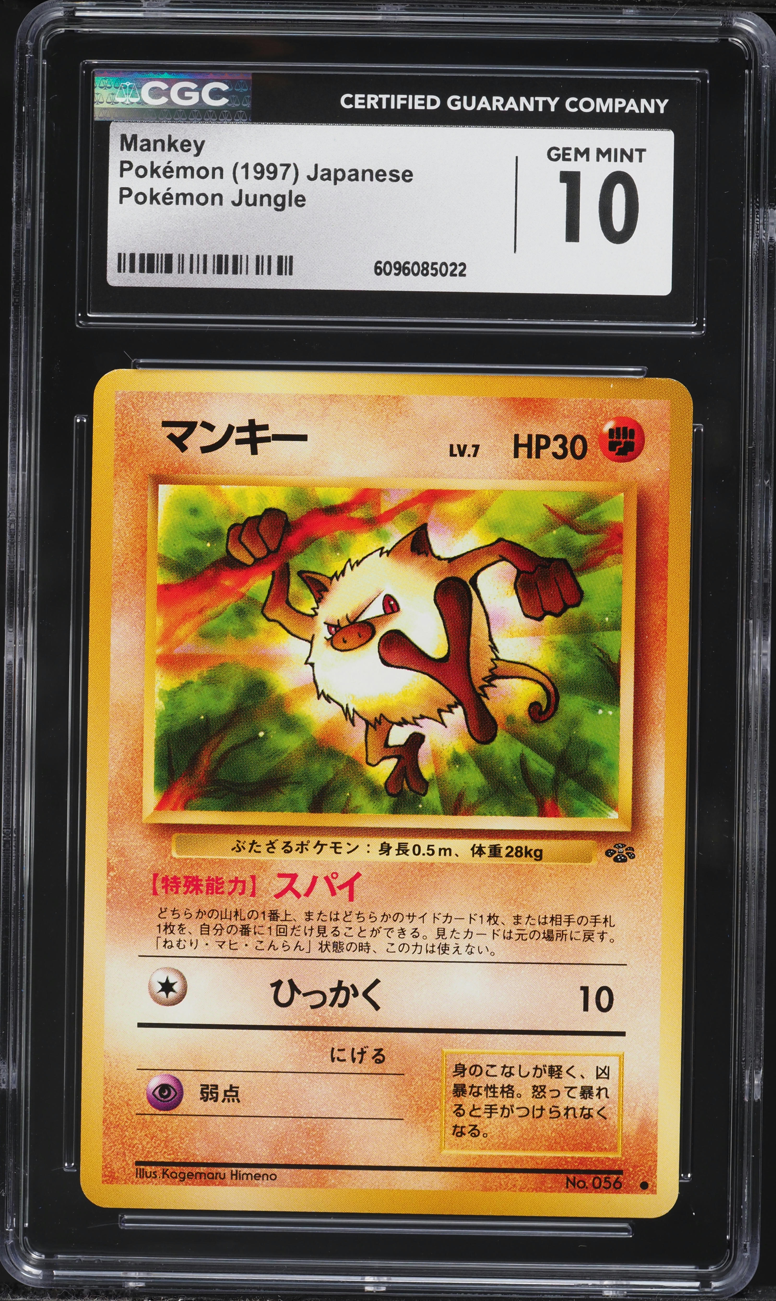 くまモン　ピン　project レア 1997 Pokemon Japanese Jungle Mankey #56 CGC 10 GEM MINT on