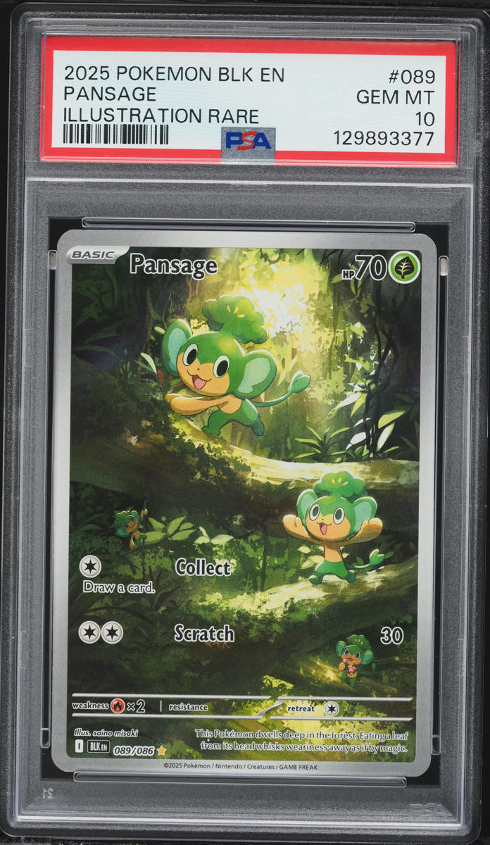 2025 Pokemon Scarlet & Violet Black Bolt IR Pansage #089 PSA 10 GEM MINT