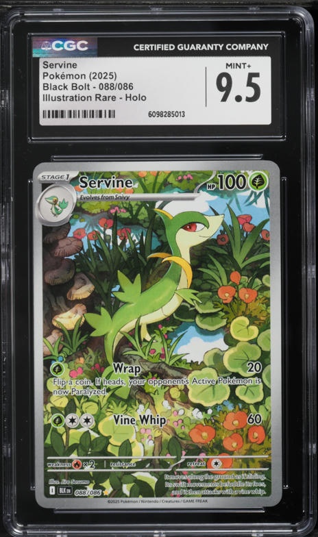 servine pokemon card Snivy, & Serperior V Lot - 17 Cards not actual card. Pokemon TCG - SV11B -
