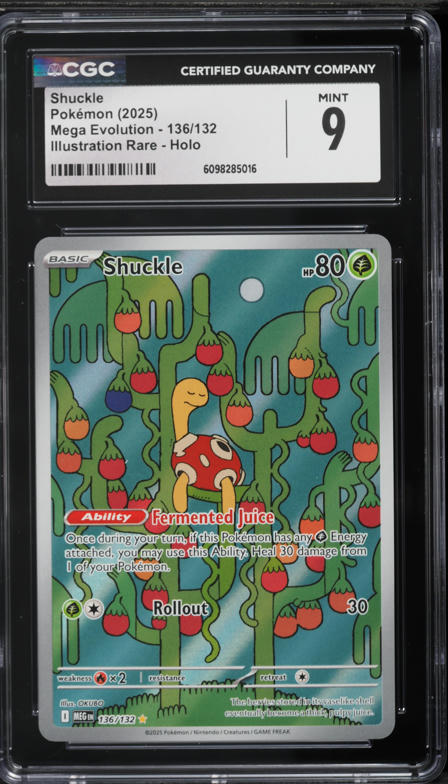 2025 Pokemon Mega Evolution IR Shuckle #136 CGC 9 MINT