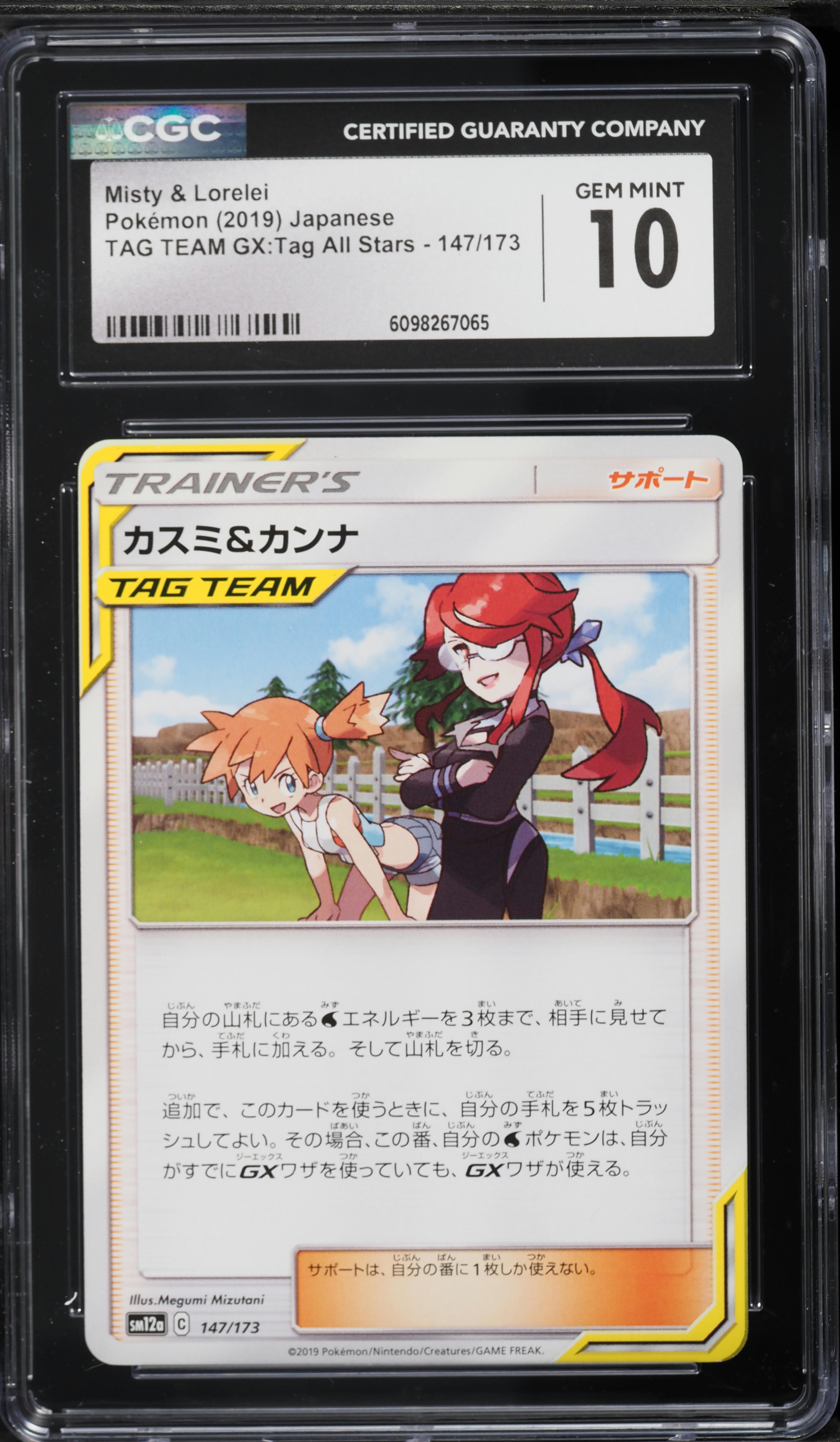 lorelei pokemon card Misty & 191-173 Tag Team GX All Stars Extended Art | PSA Graded Guard Display Case, Magnetic Display Case, Screws Display Case If you do 2019 Pokemon Japanese Sun &