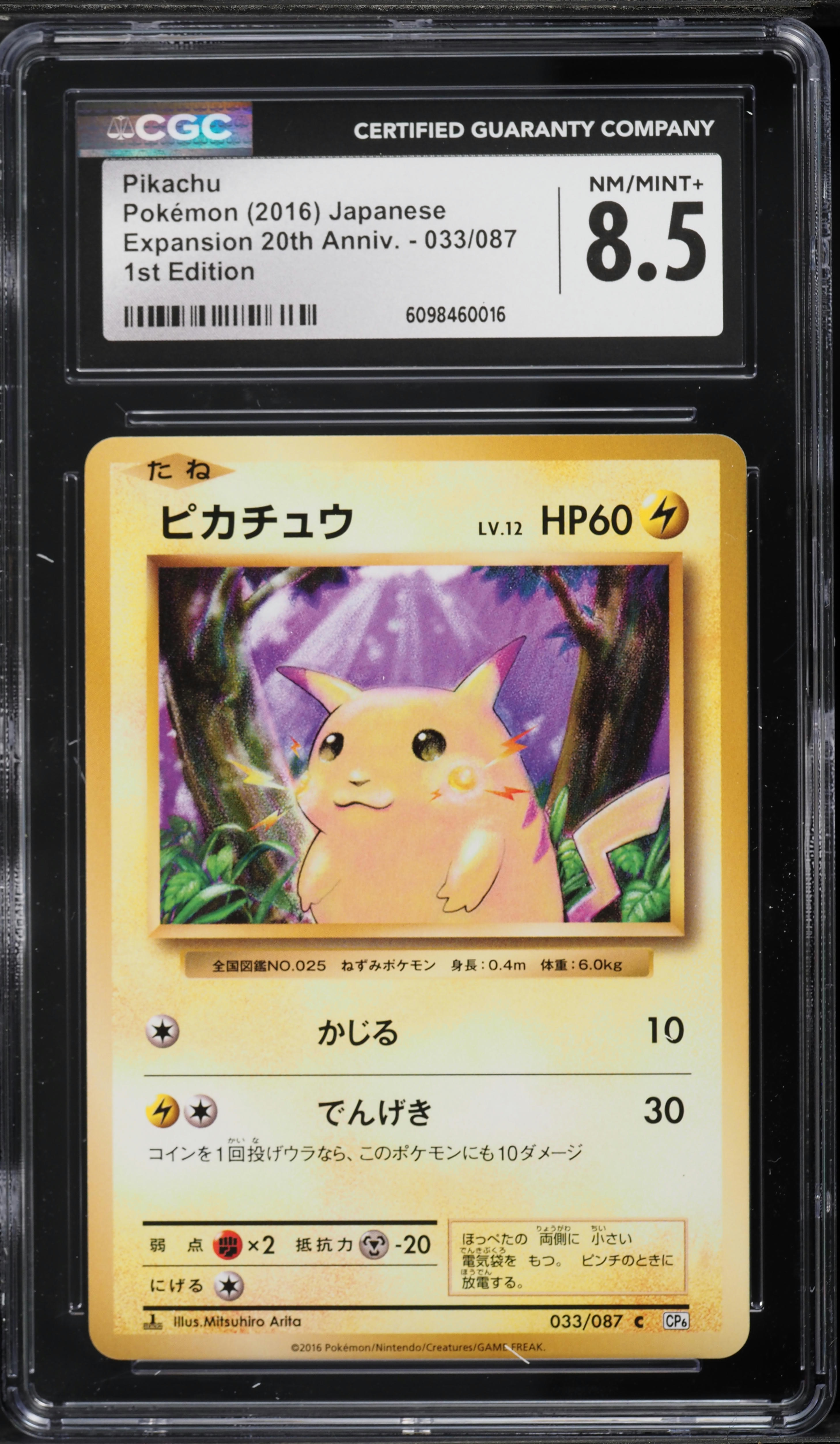2016 P.M. 日本語 XY #010 FA/Pikachu 2016 Pokemon Japanese XY 20th Anniversary 1st Edition Pikachu #33