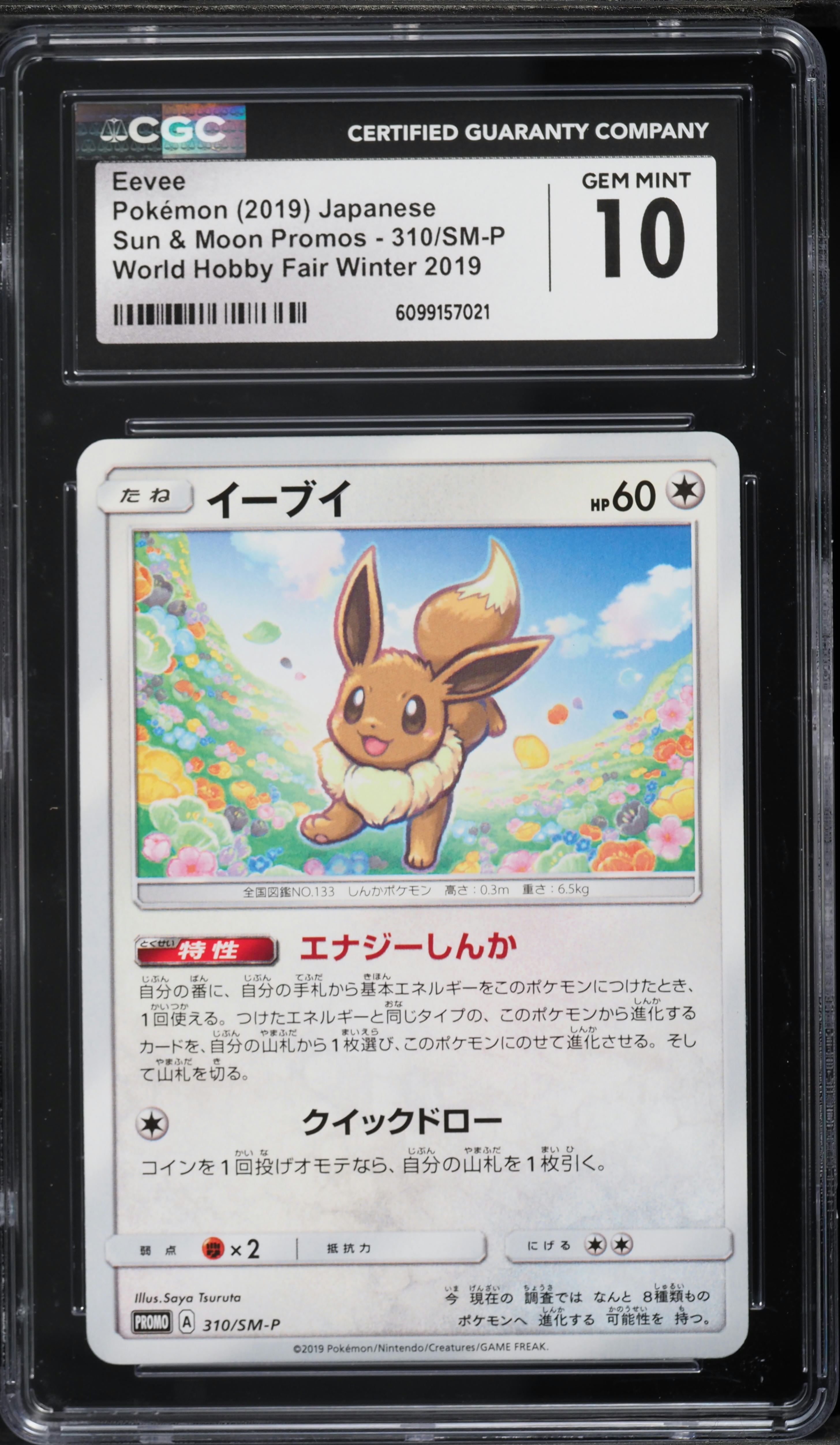 2019 Pokemon Japanese Sun & Moon Promo World Hobby Fair Winter