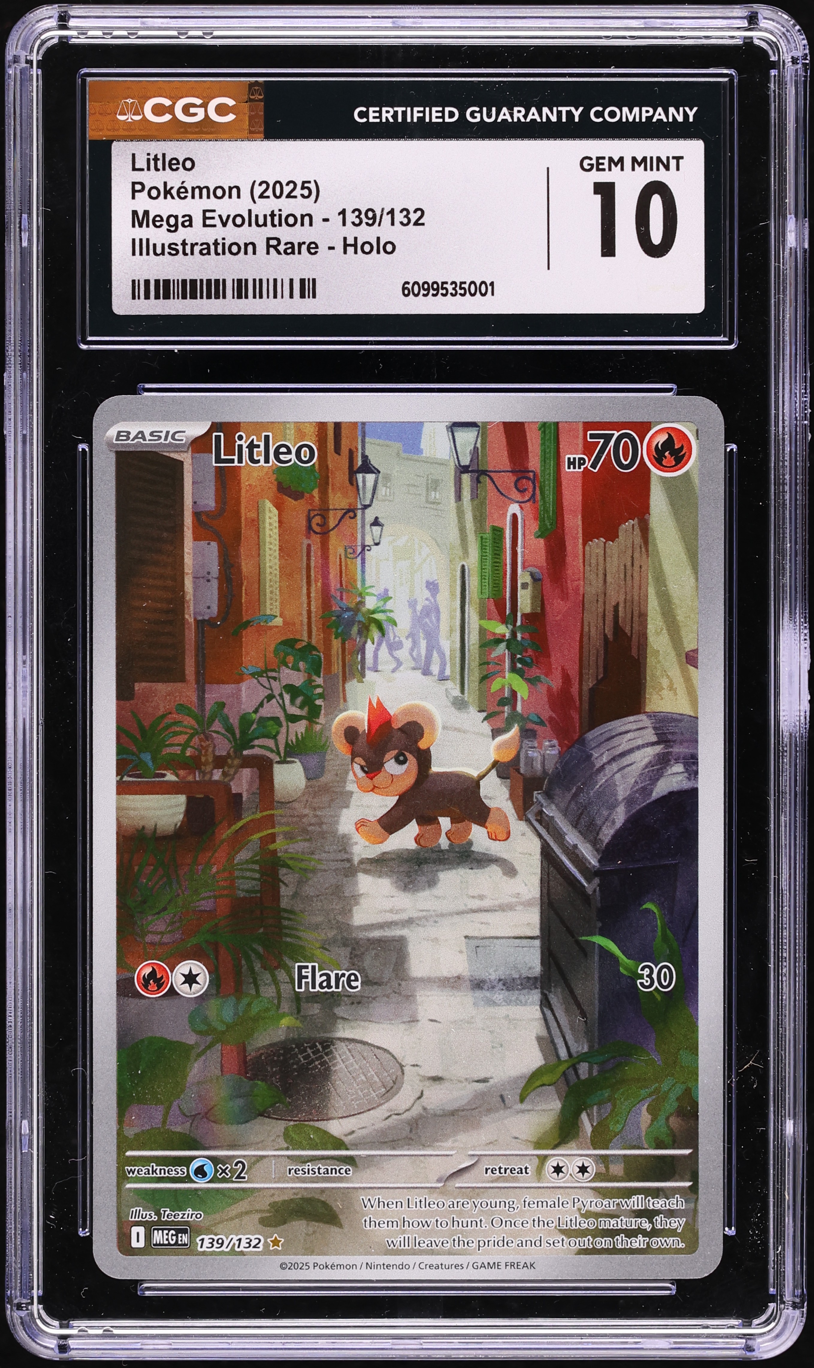 litleo pokemon card value Amazon.com: Pokemon main image 1