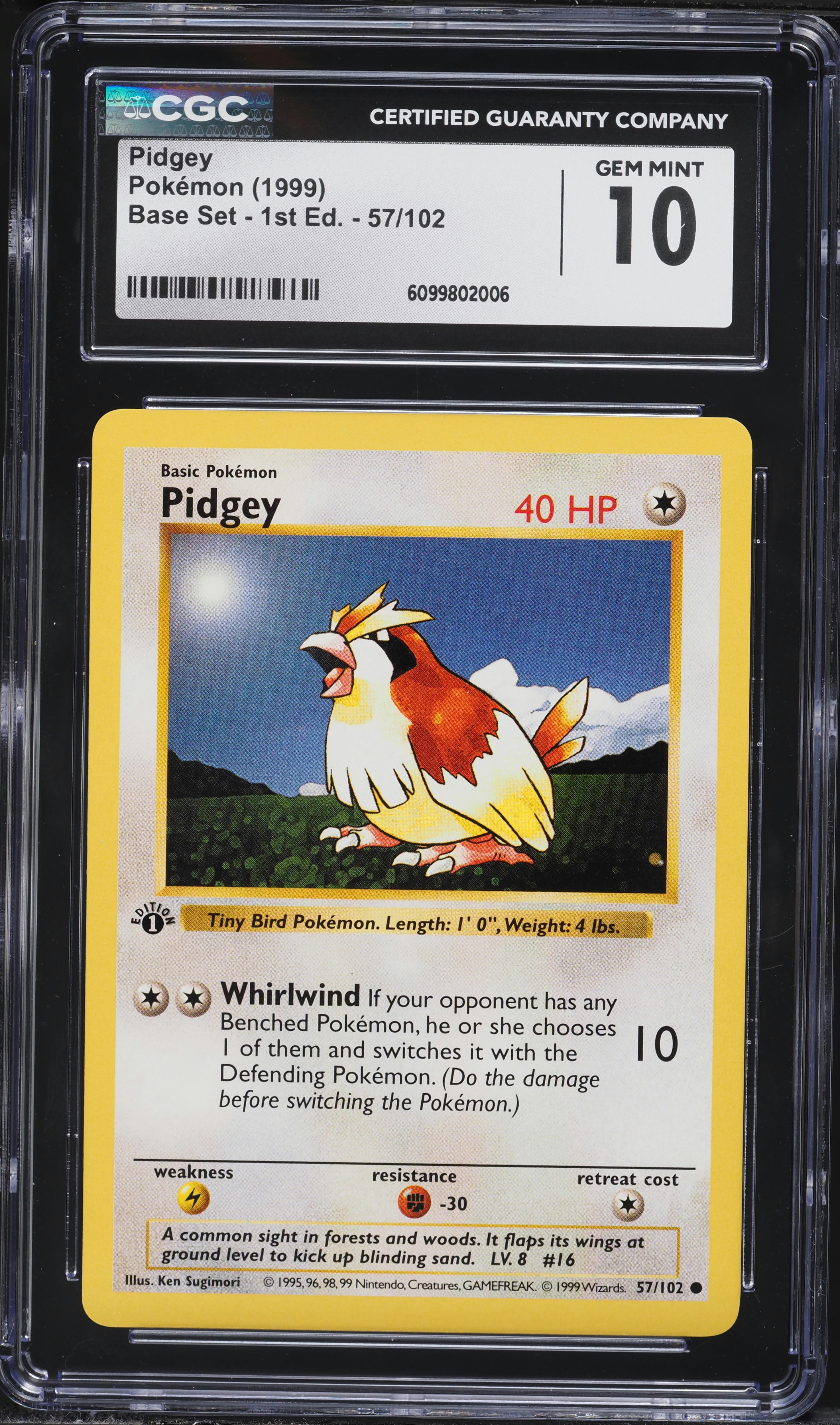 are stockx pokemon cards legit Are StockX Pokemon cards legit? Honest reviews needed