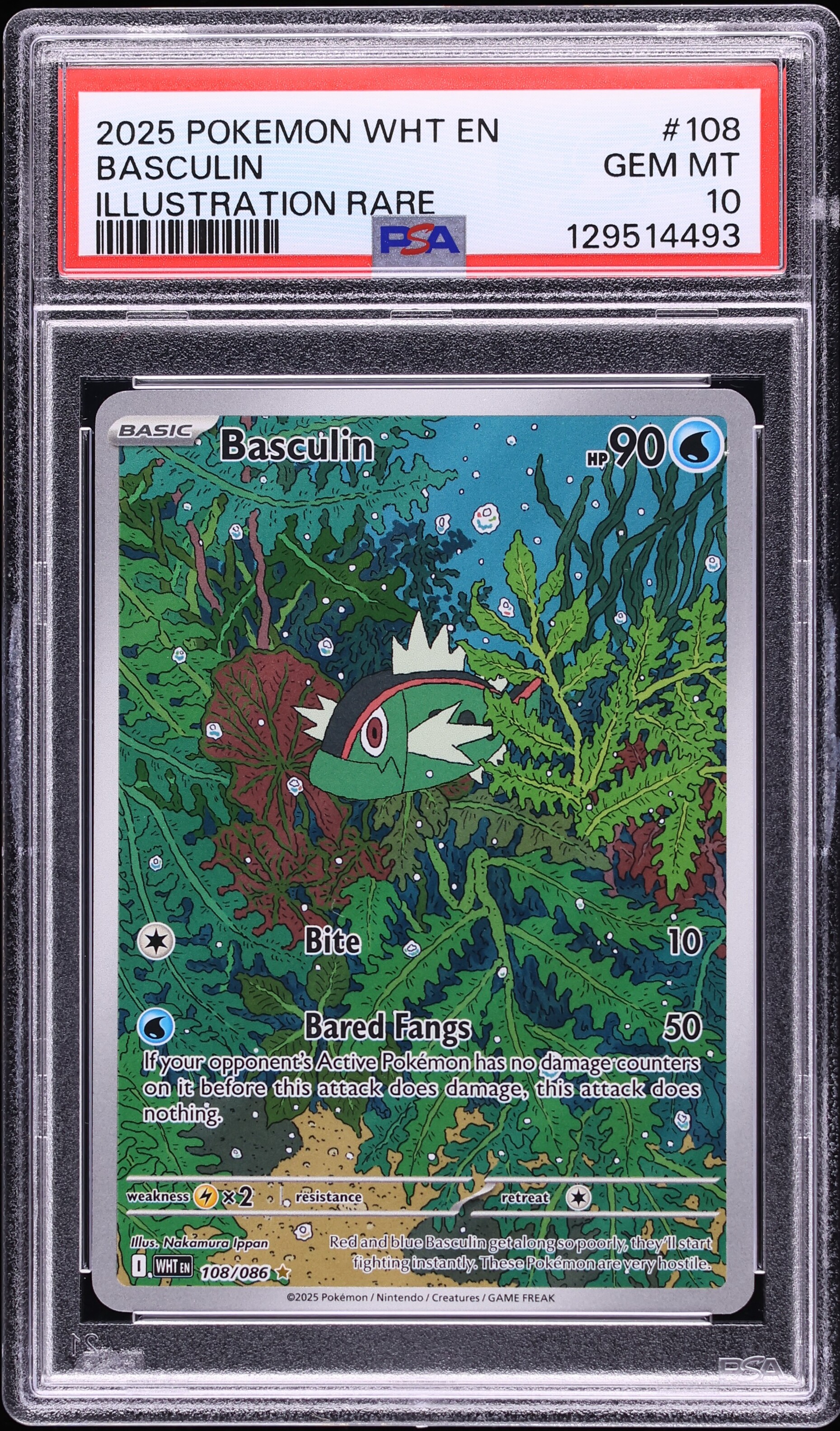 pokemon cards rules Limits