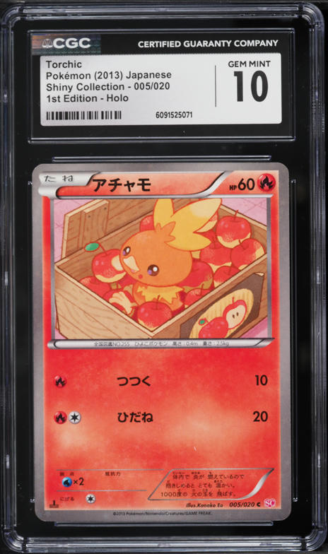 shiny torchic pokemon card Iron Boulder ex (192/162) [Scarlet & Violet: Temporal Forces] – Gamers  Paradise