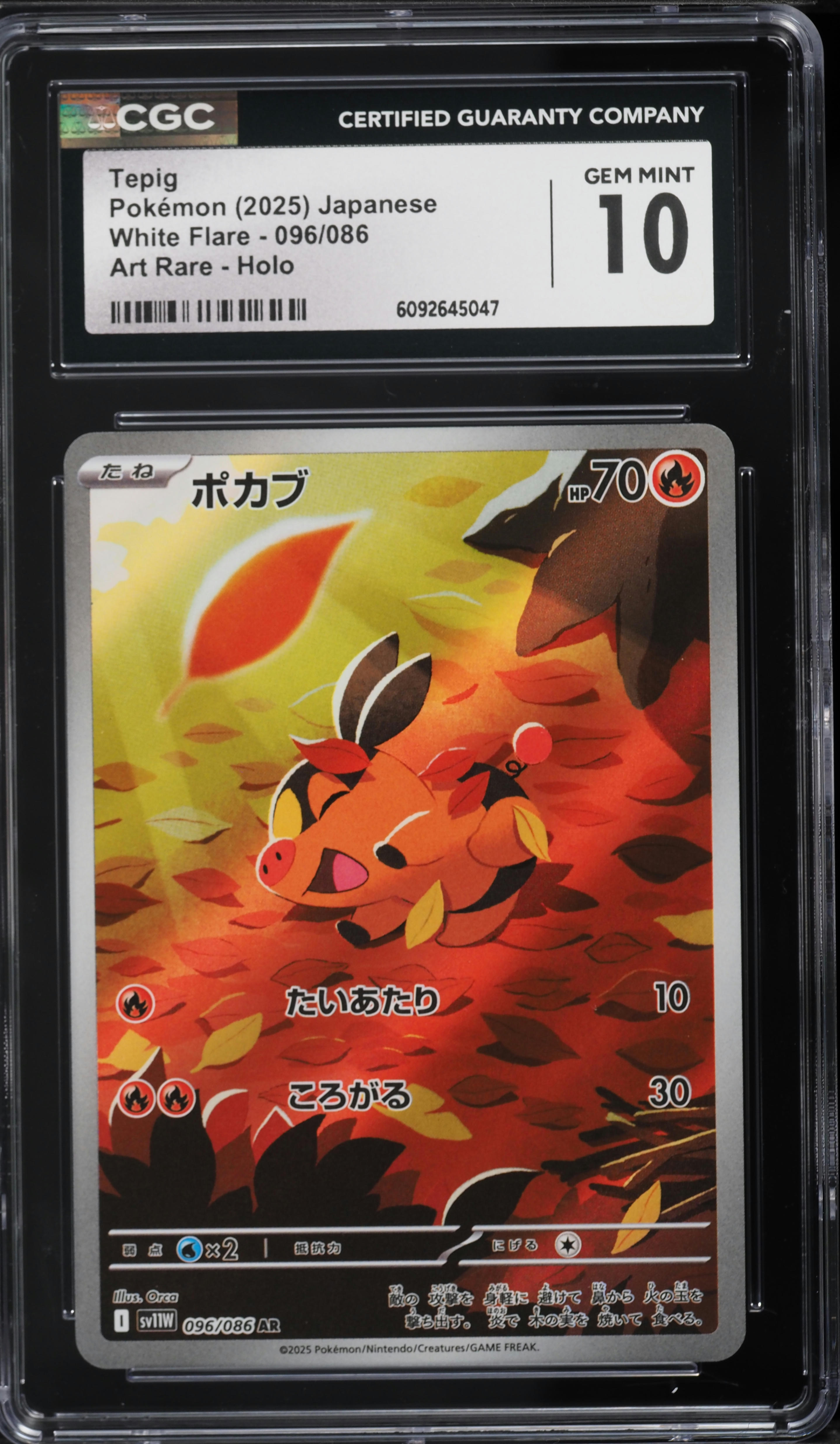 2025 Pokemon Japanese Scarlet & Violet White Flare AR Tepig #96