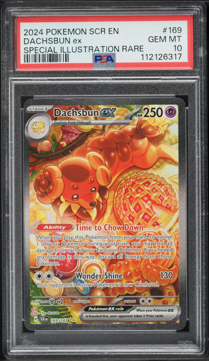 2024 Pokemon Scarlet & Violet Stellar Crown SIR Dachsbun ex #169 PSA 10 GEM MINT