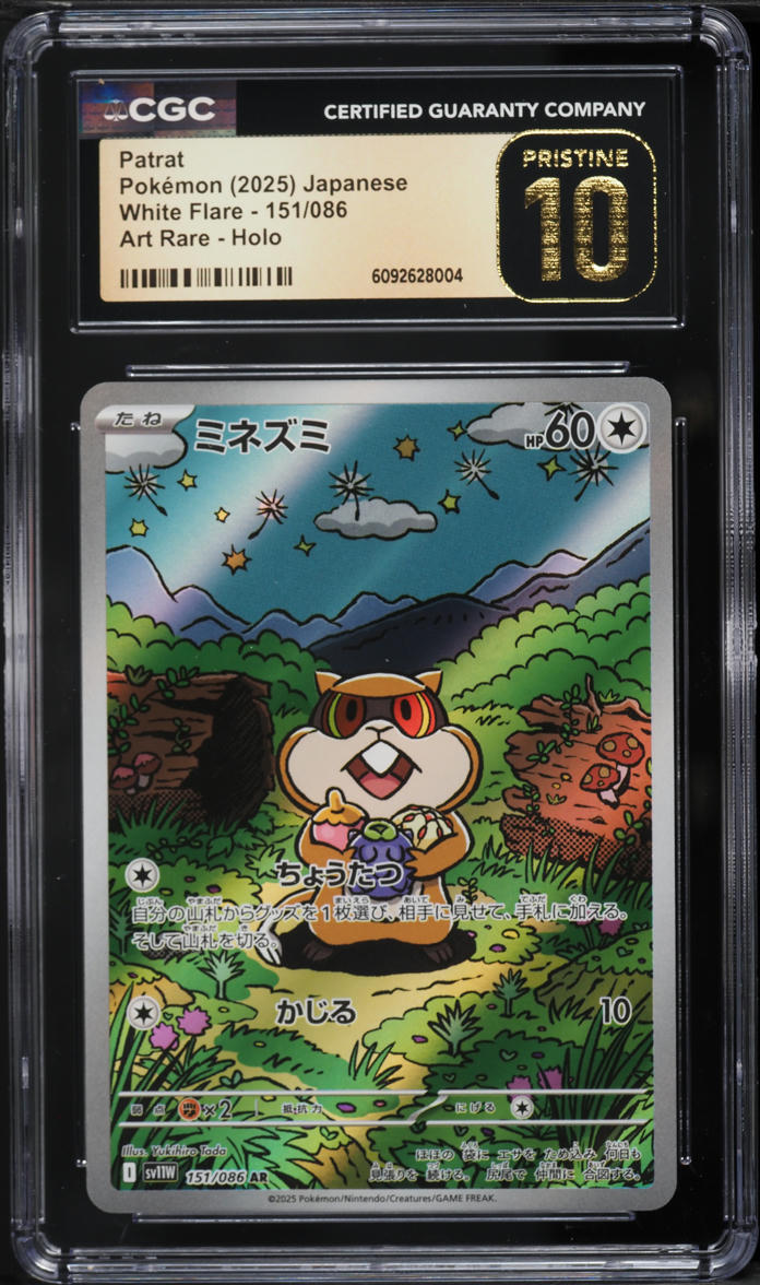 patrat pokemon card Patrat (110/135) [Black & White: Plasma Storm] Damaged