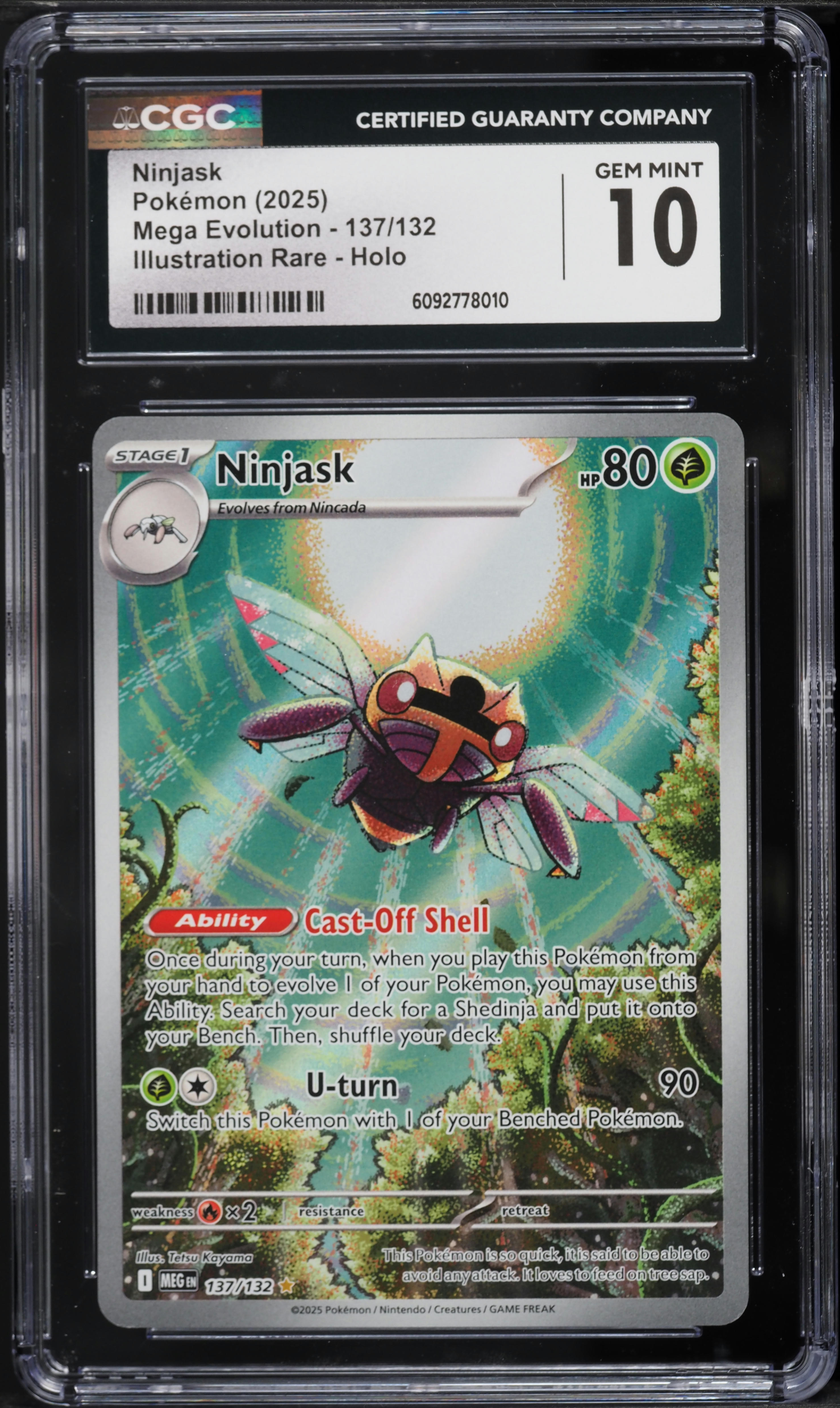 インカの秘宝 謎と発見のセレクトショップ】TAKARA PORT（タカラポート）インカに