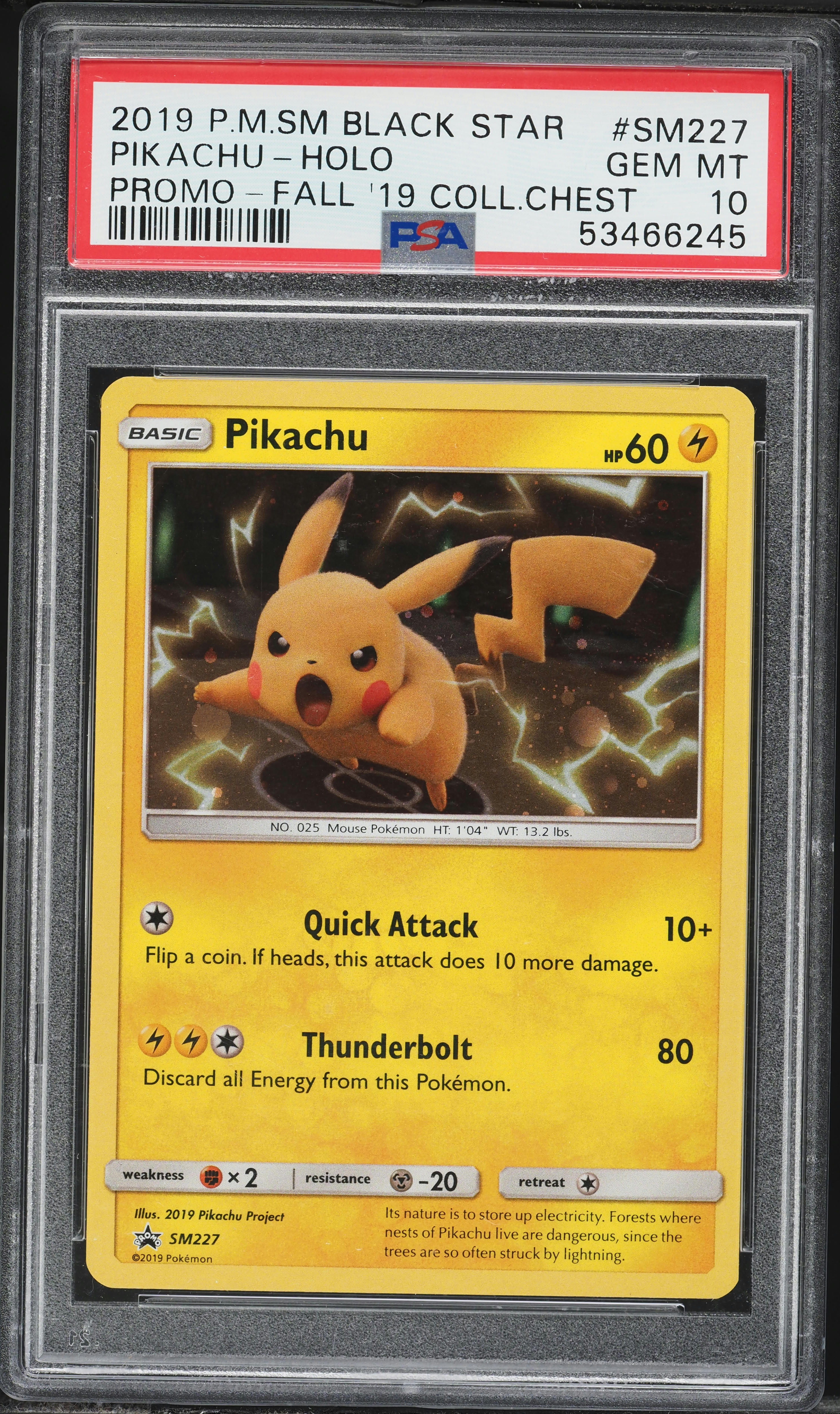 2019 Pokemon Sun & Moon Promo Fall '19 Collectors Chest Holo