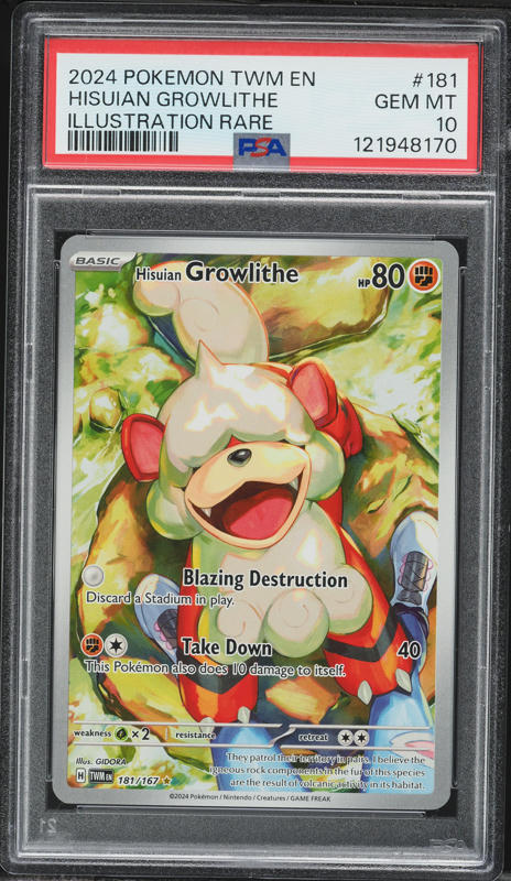 2024 Pokemon SV Twilight Masquerade IR Hisuian Growlithe #181 PSA 10 GEM MINT