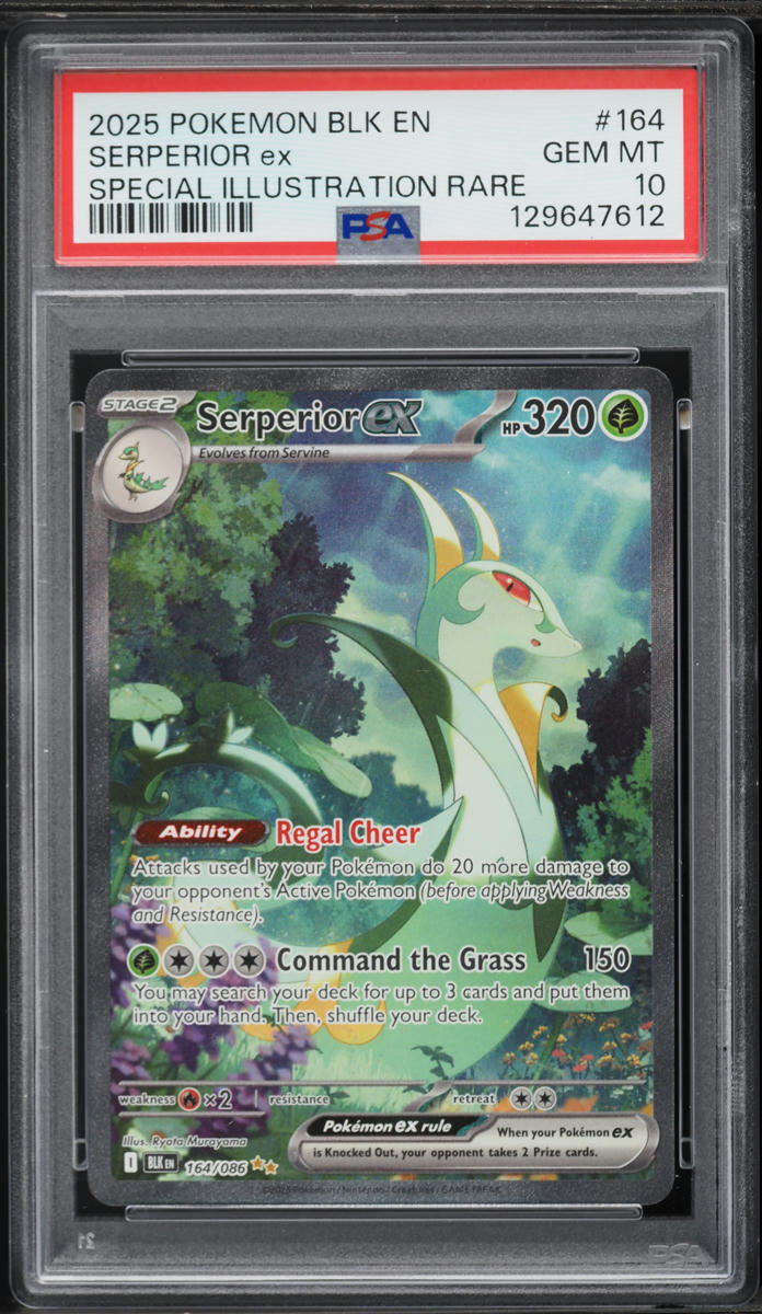 2025 Pokemon Scarlet & Violet Black Bolt SIR Serperior EX #164 PSA 10 GEM MINT