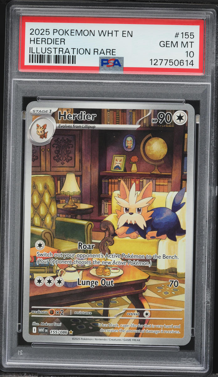 2025 Pokemon White Flare IR Herdier #155 PSA 10 GEM MINT on Fanatics Collect 2025 Pokemon White Flare IR Herdier #155 PSA 10 GEM MINT on Fanatics Collect