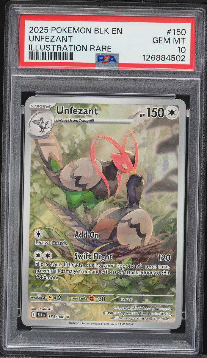 2025 Pokemon Scarlet & Violet Black Bolt IR Unfezant #150 PSA 10 GEM MINT