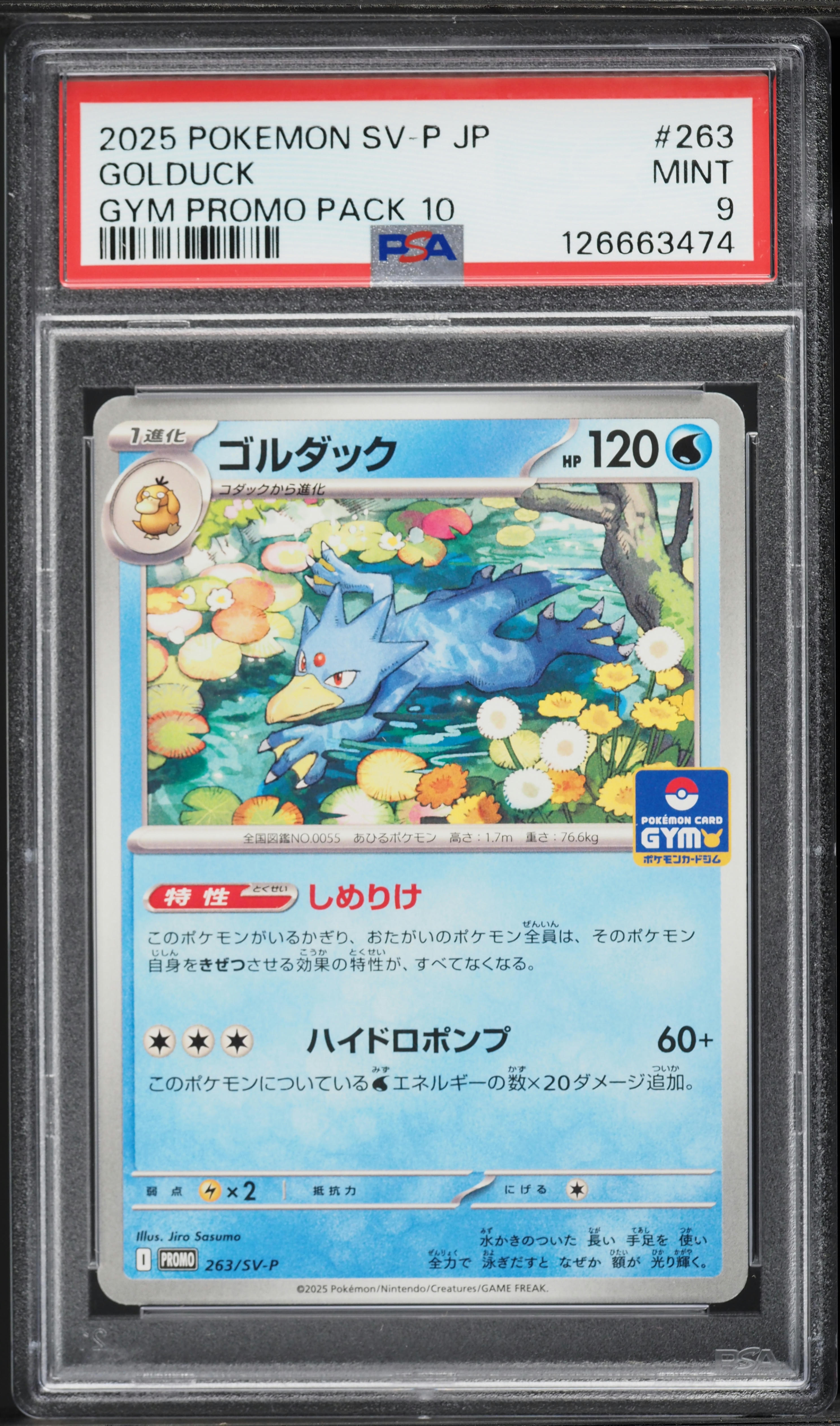 2025 Pokemon Japanese Scarlet & Violet Promo Gym Promo Pack 10