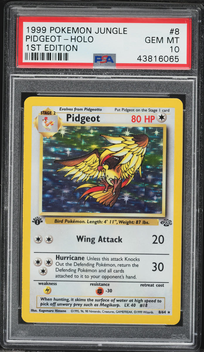 1999 Pokemon Jungle 1st Edition Holo Pidgeot #8 PSA 10 GEM MINT