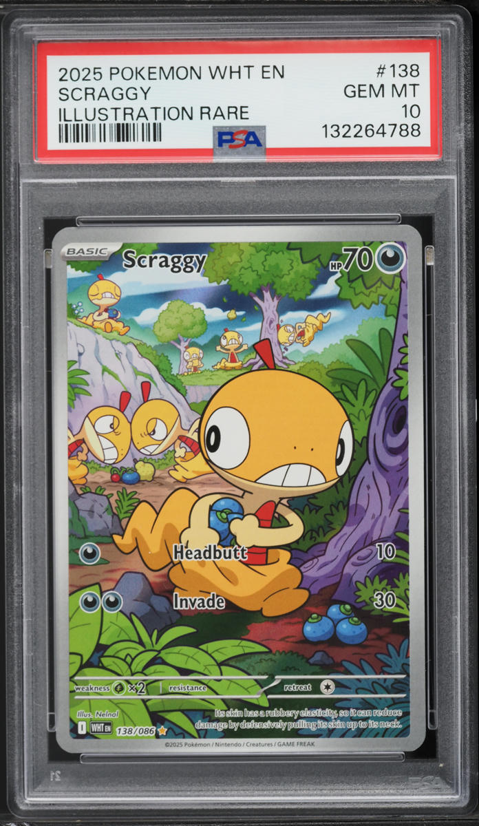 2025 Pokemon Scarlet & Violet White Flare IR Scraggy #138 PSA 10 GEM MINT