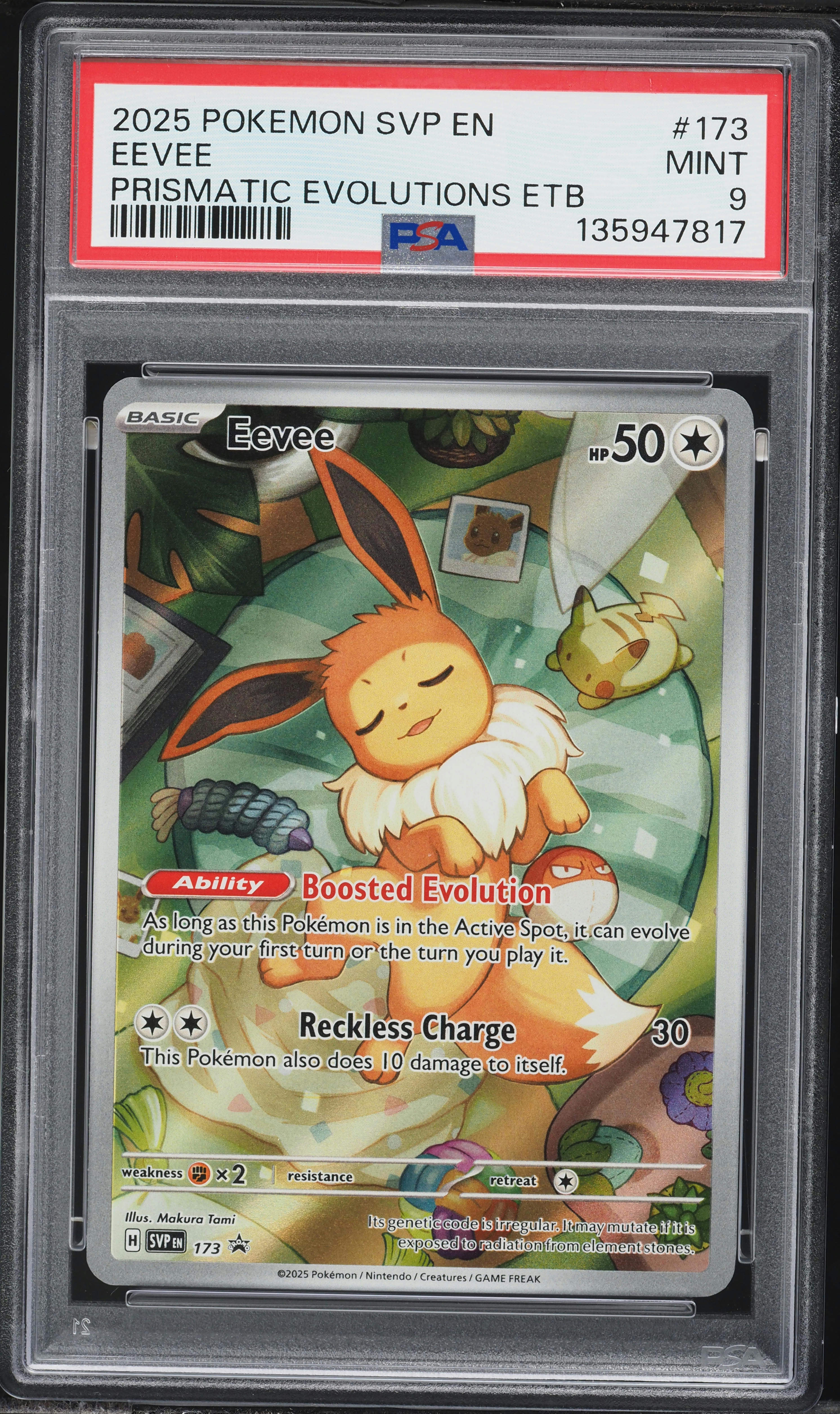 how i became a pokemon card How To Become A Pokemon Card Illustrator