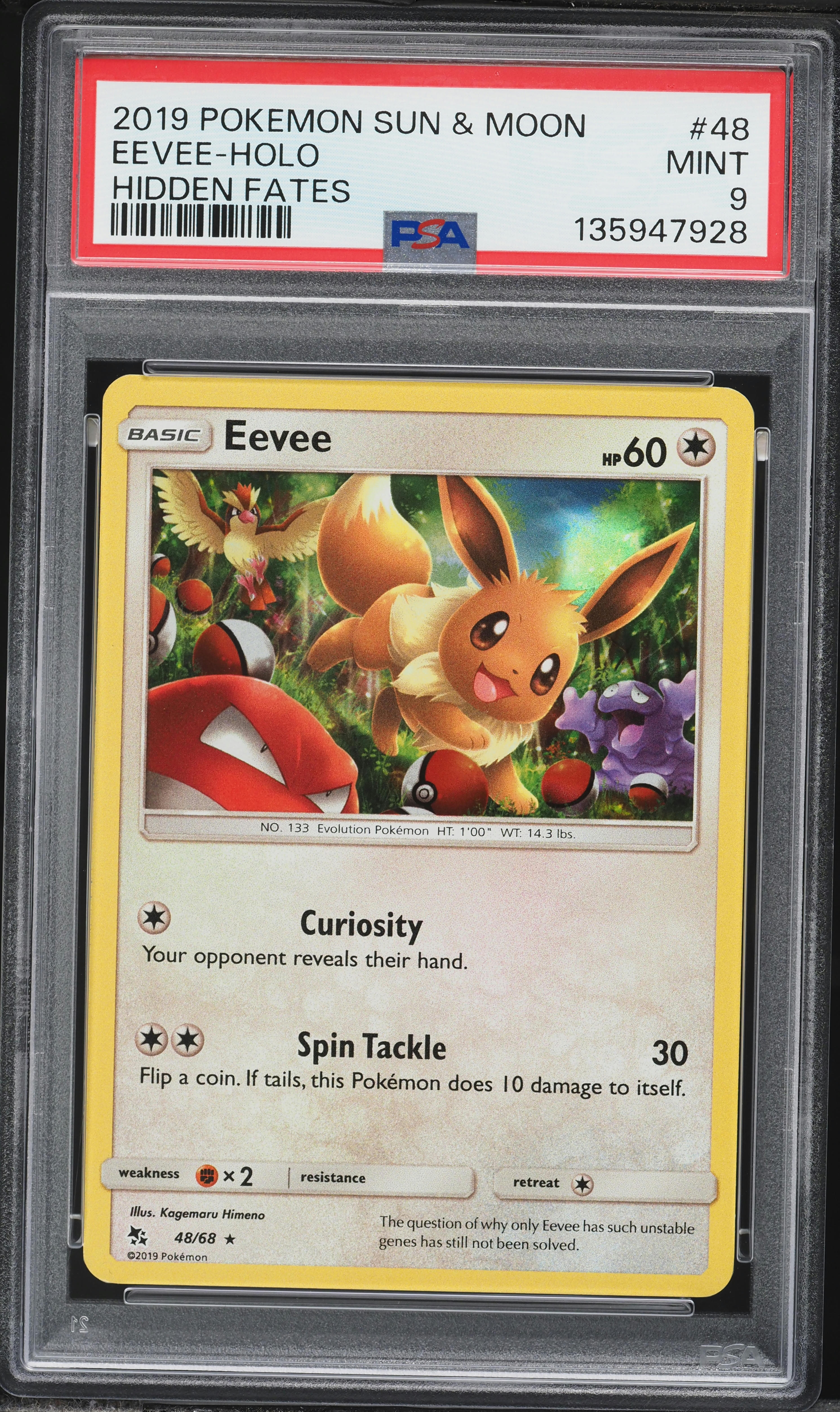 eevee pokemon card 2019 Eevee Holo Pokemon Card 2019